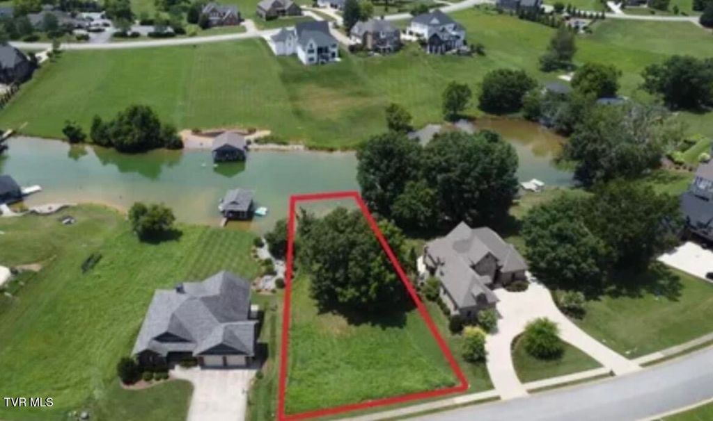 Photo of 156 Forest Lane, Blountville, TN 37617 (MLS # 9993412)