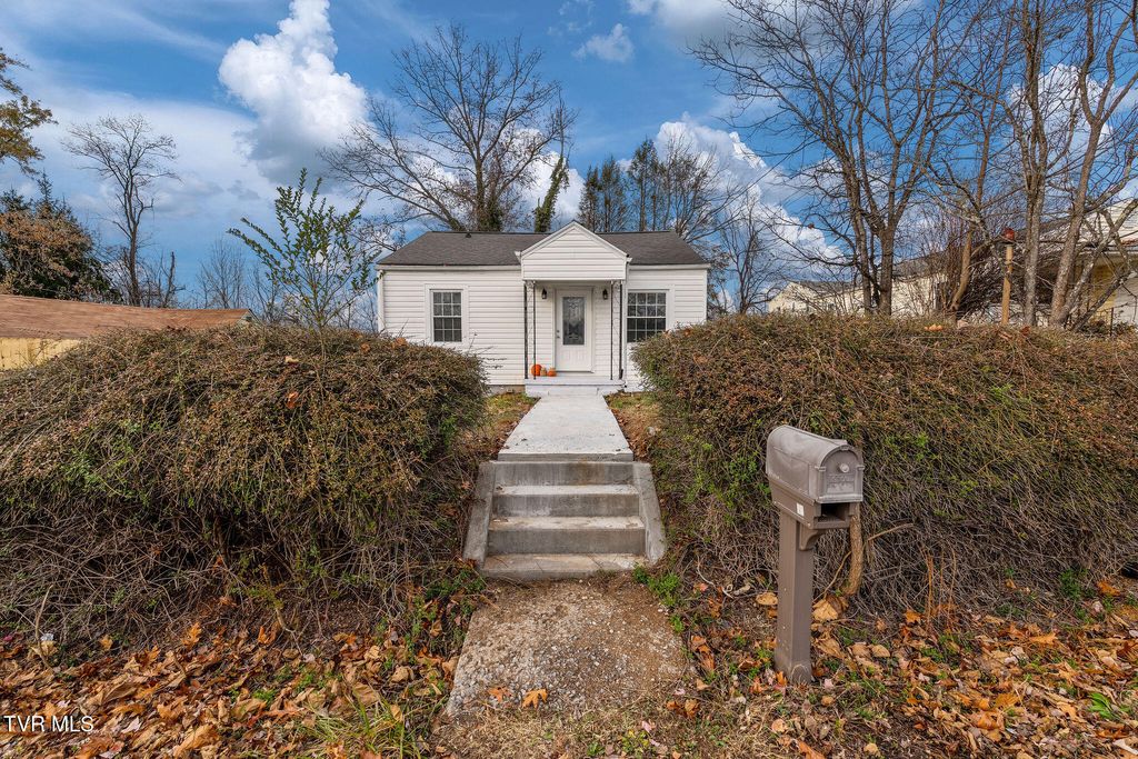 Photo of 11 Birch Street, Bristol, TN 37620 (MLS # 9988281)