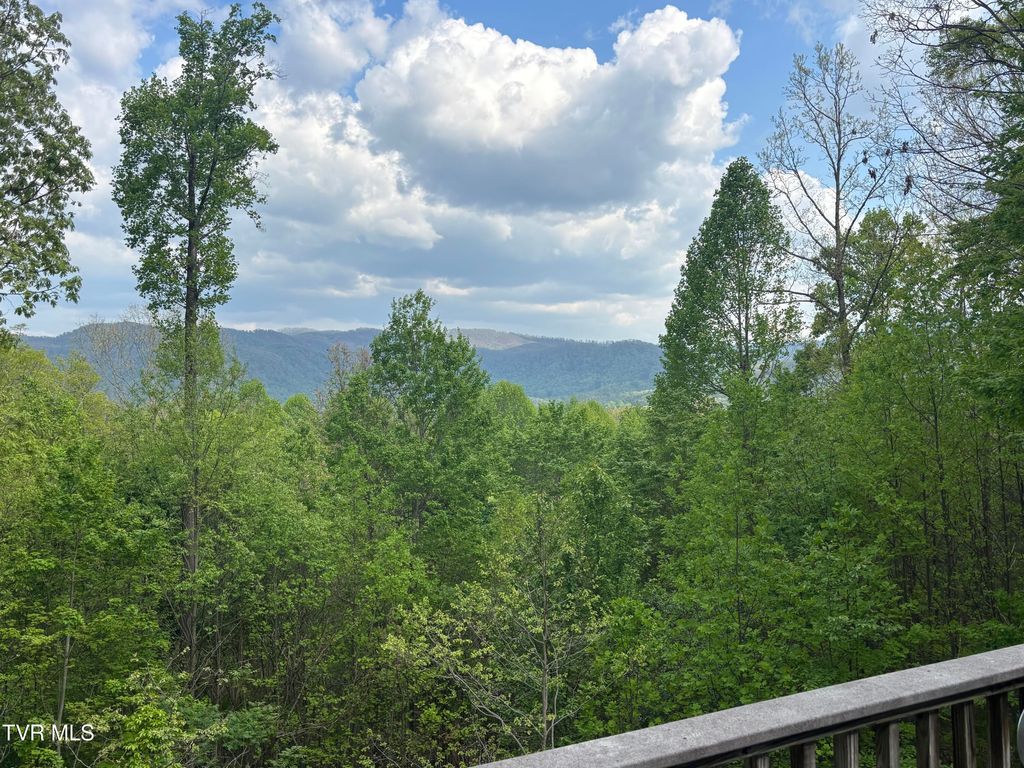 Photo of 240 Misty Lane, Unicoi, TN 37692 (MLS # 9994795)