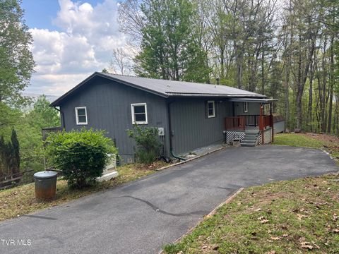 Photo of 240 Misty Lane, Unicoi, TN 37692 (MLS # 9994795)