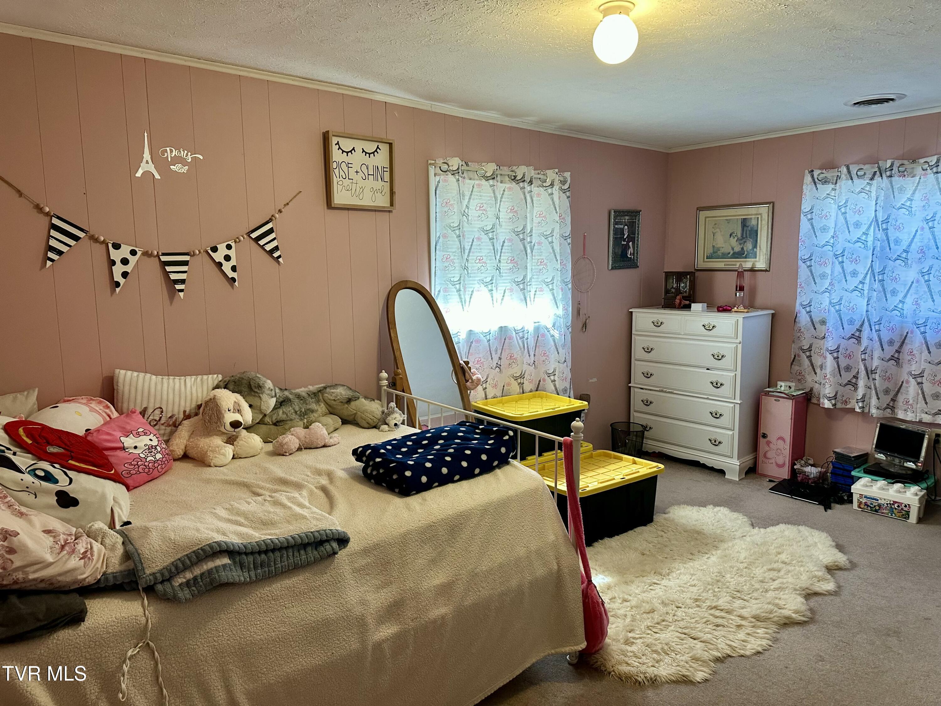 21543 Plantation Road, Bristol, Virginia image 33