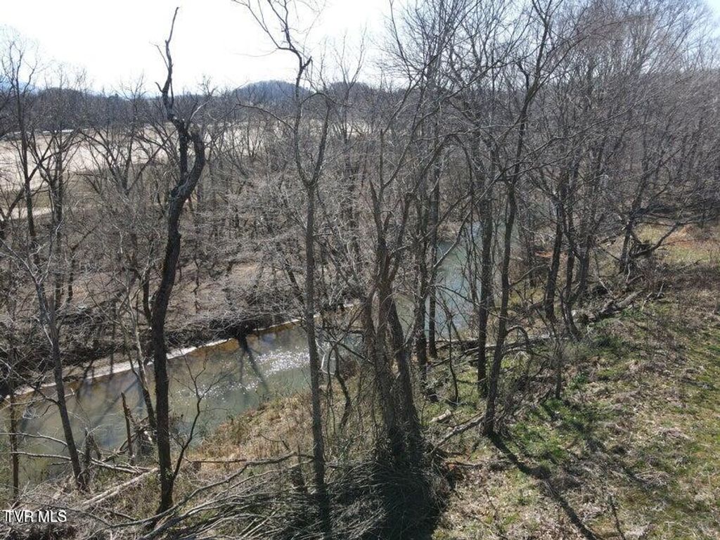 Photo of 1 River Village Ln, Afton, TN 37616 (MLS # 9990169)