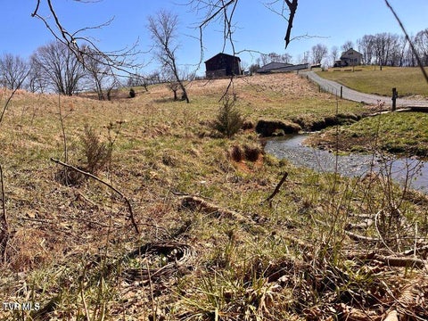 Vacant Land For Sale - TBD LOT 1 River Village Ln<br/> Afton, TN 37616