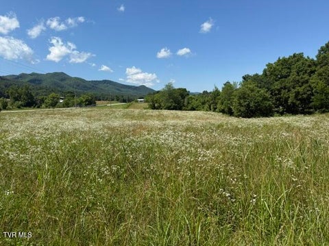 Vacant Land For Sale - TBD Highway 107 #101 047.01<br/> Jonesborough, TN 37659