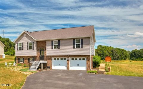 Photo of 1156 Henderson Court, Jonesborough, TN 37659 (MLS # 9995750)