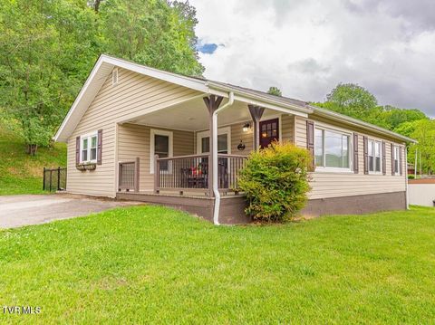 Photo of 421 Lucy Road, Kingsport, TN 37660 (MLS # 9994810)