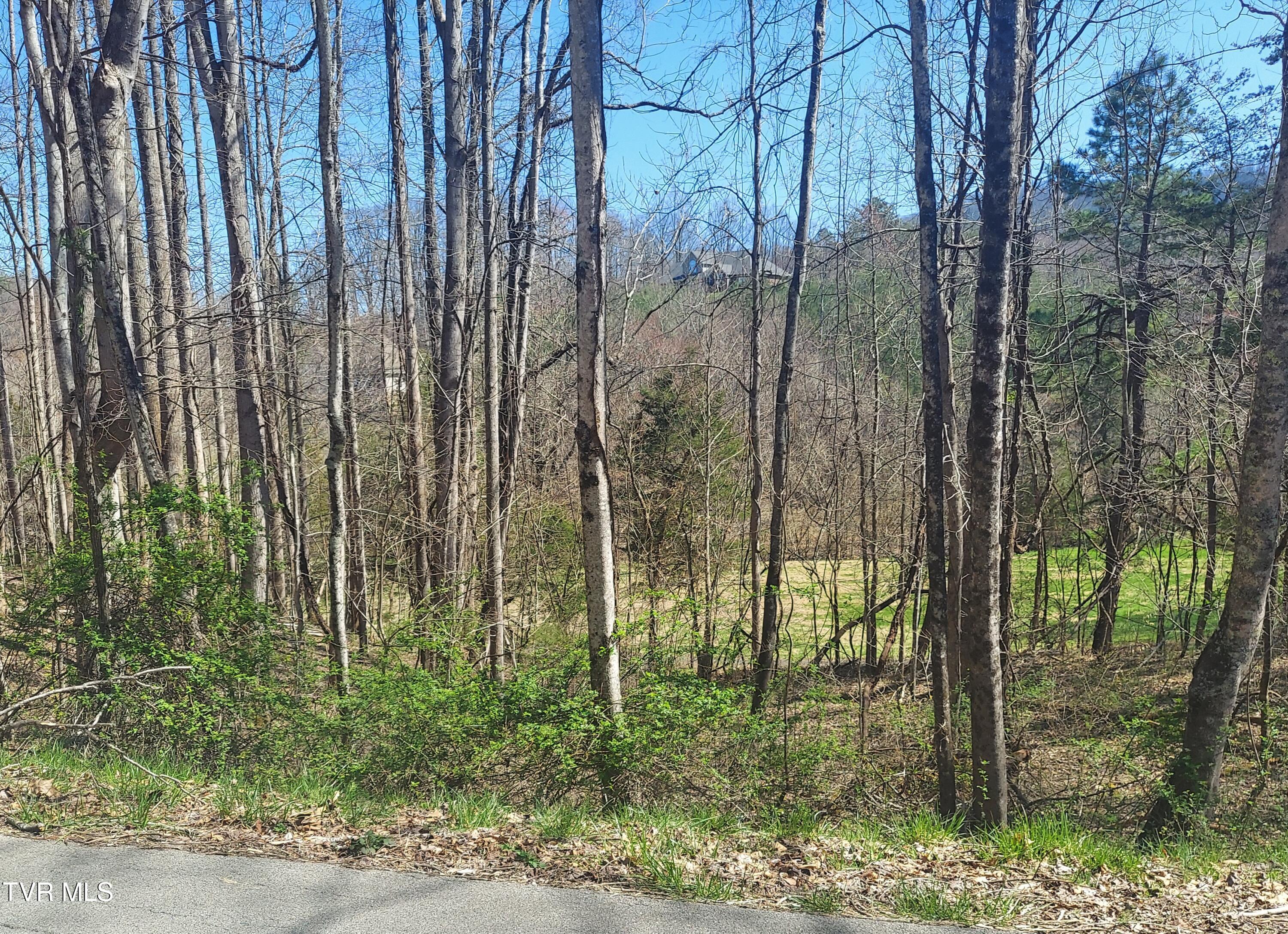 Lot 182 Ox Bow Ave., Unicoi, Tennessee image 2