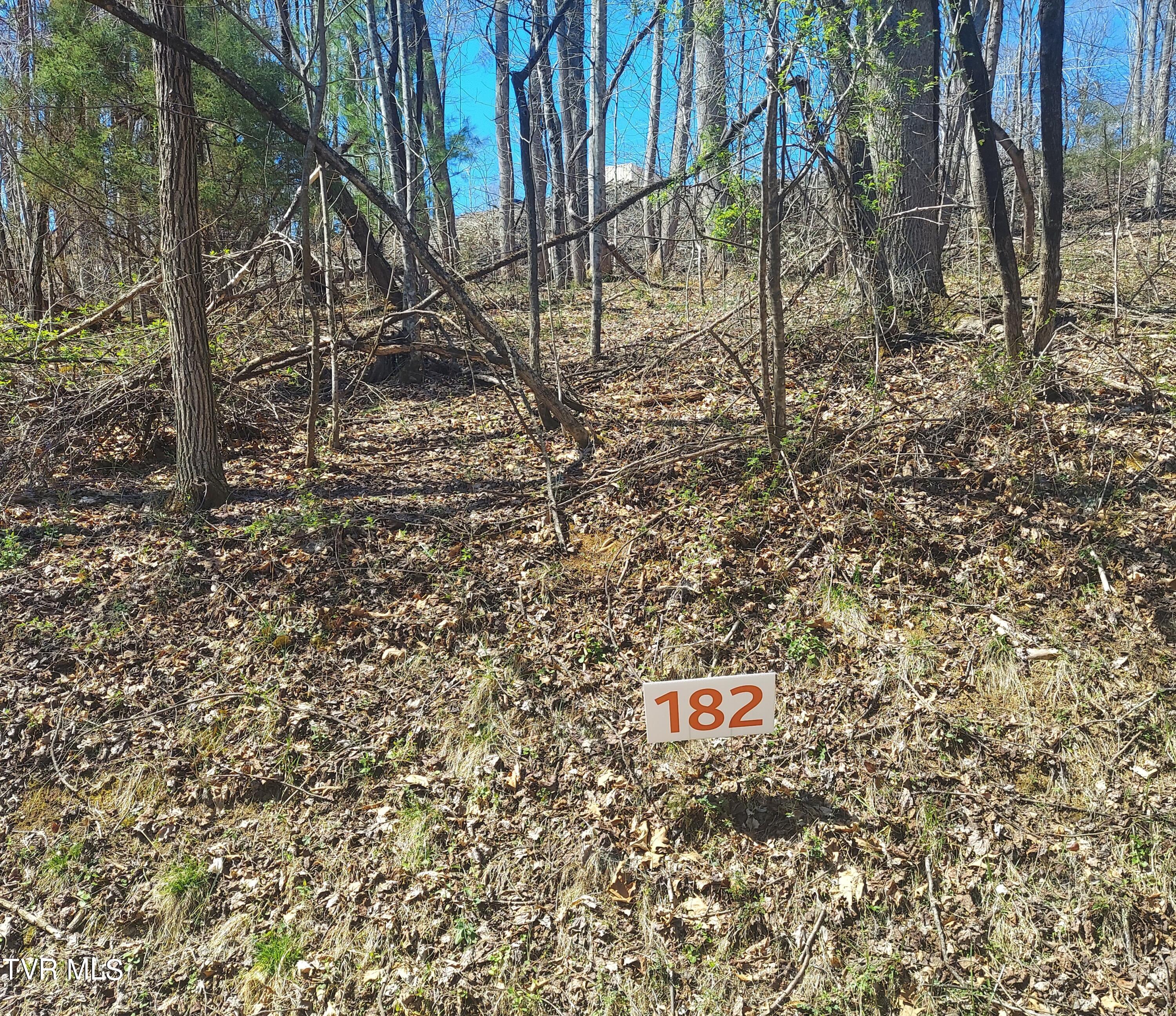 Lot 182 Ox Bow Ave., Unicoi, Tennessee image 1