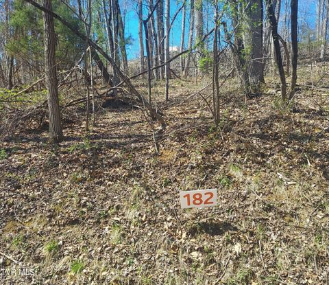 Vacant Land For Sale - LOT 182 Ox Bow Ave.<br/> Unicoi County, Unicoi, TN 37692