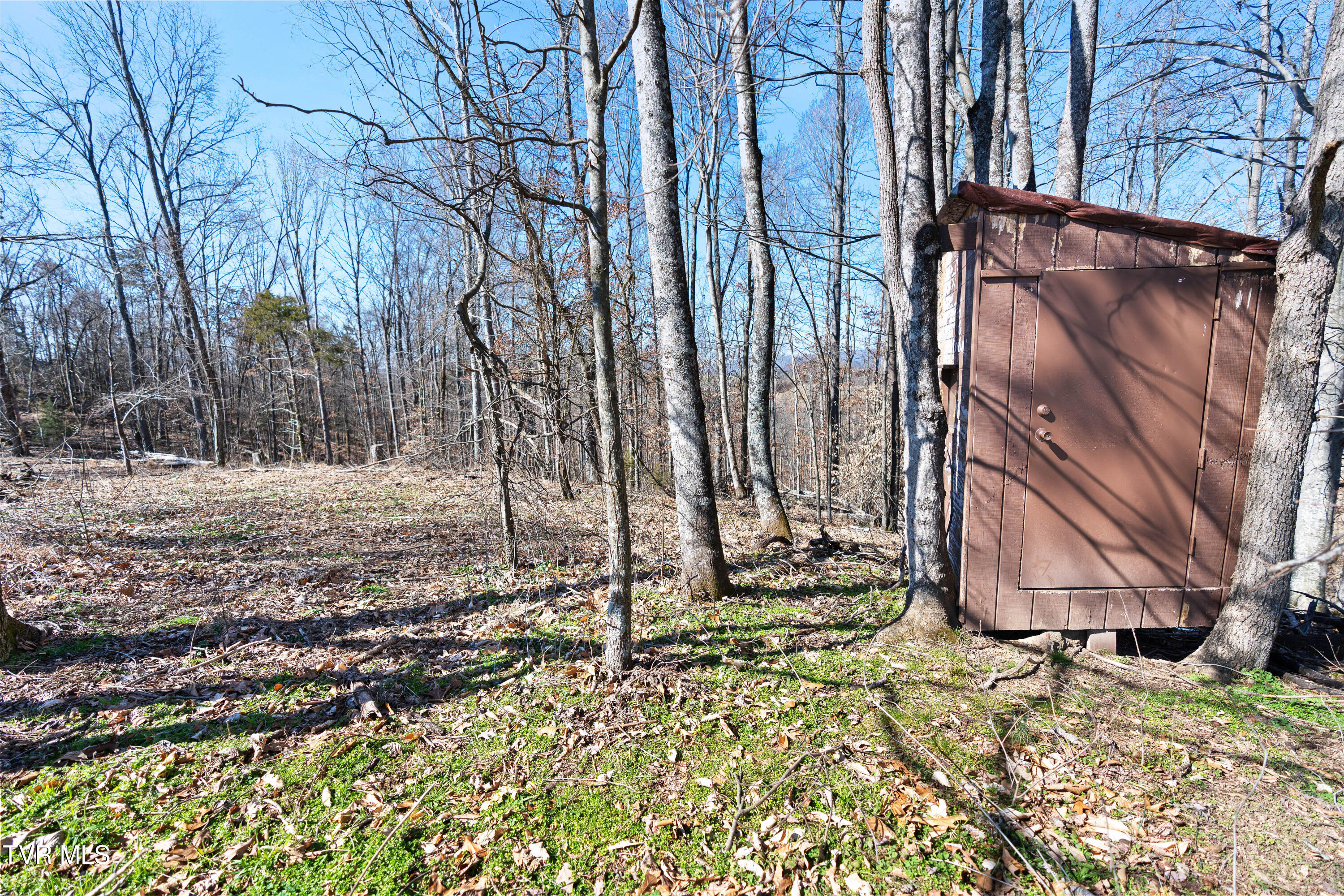 15295 Kingsport Highway, Chuckey, Tennessee image 23