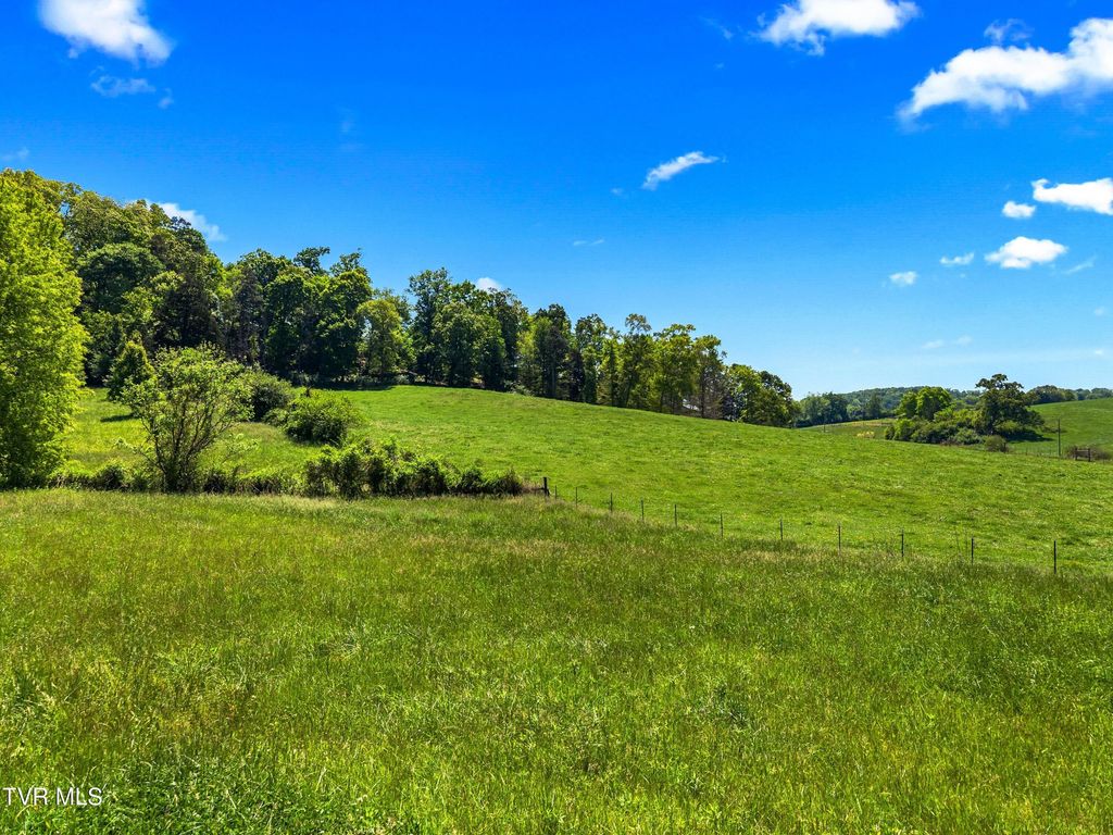 Photo of Tbd Anderson Bend Road, Russellville, TN 37860 (MLS # 9994960)