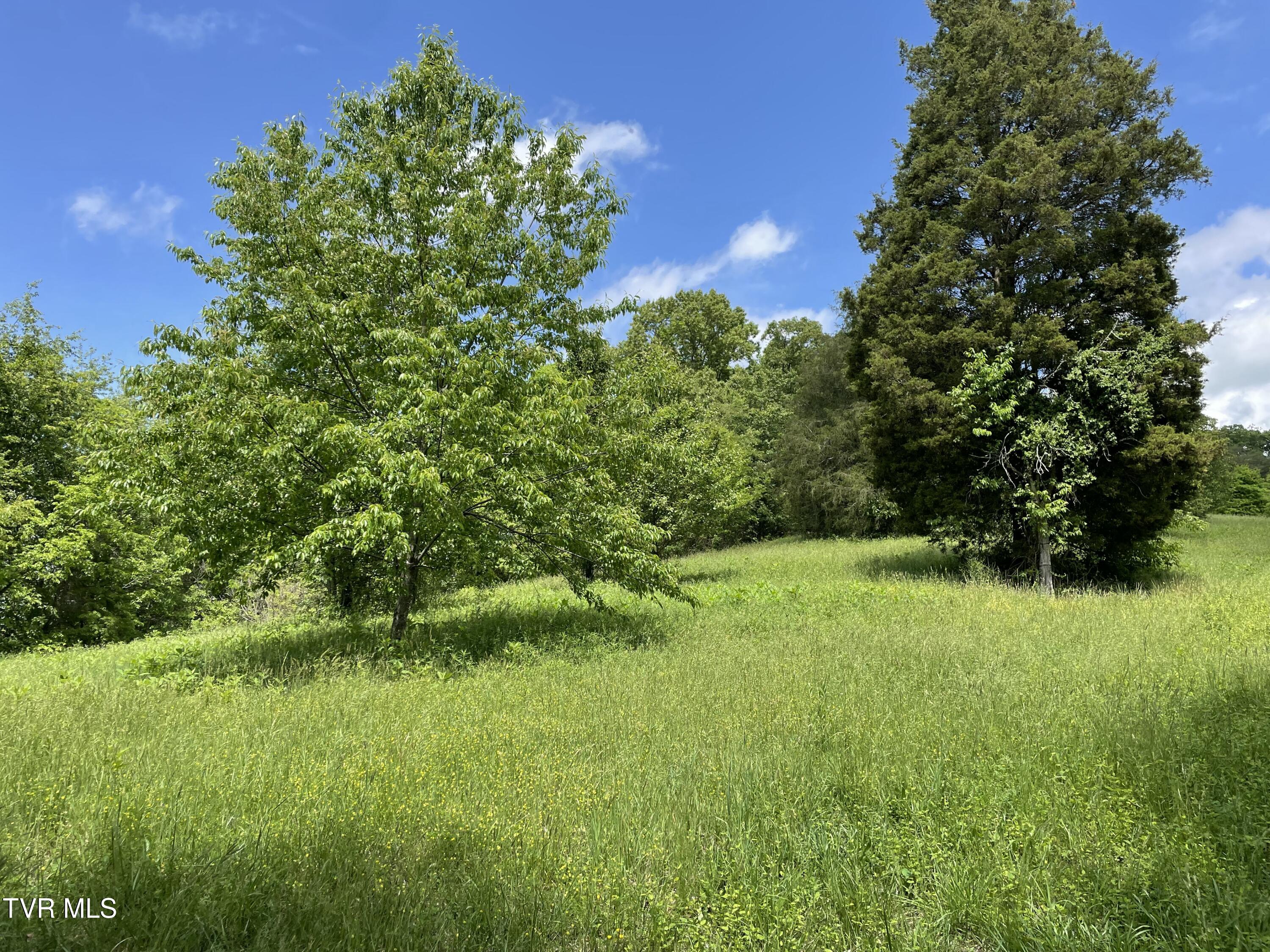 Tbd Anderson Bend Road