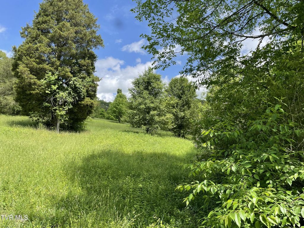 Photo of Tbd Anderson Bend Road, Russellville, TN 37860 (MLS # 9994960)