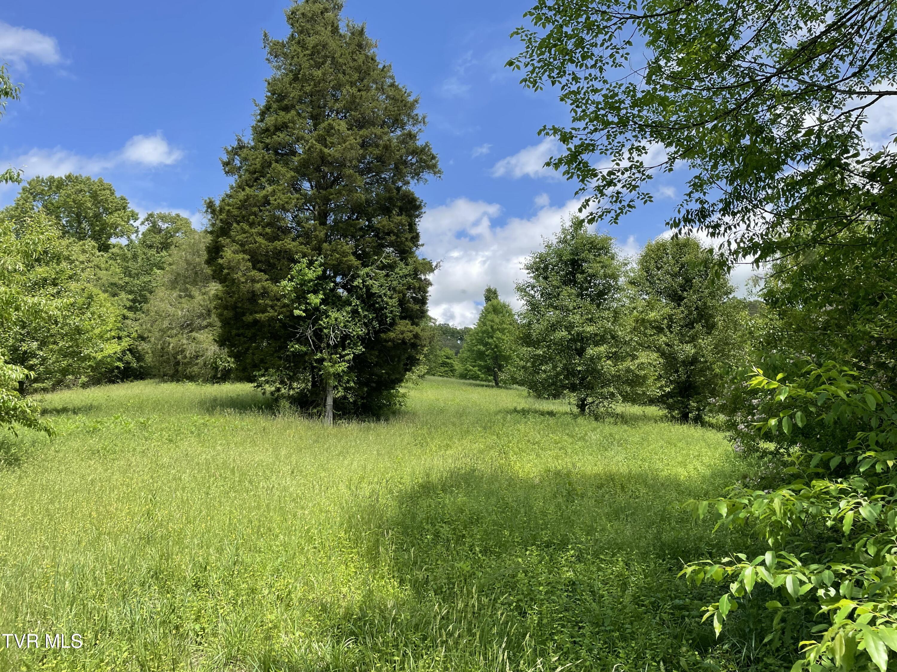 Tbd Anderson Bend Road