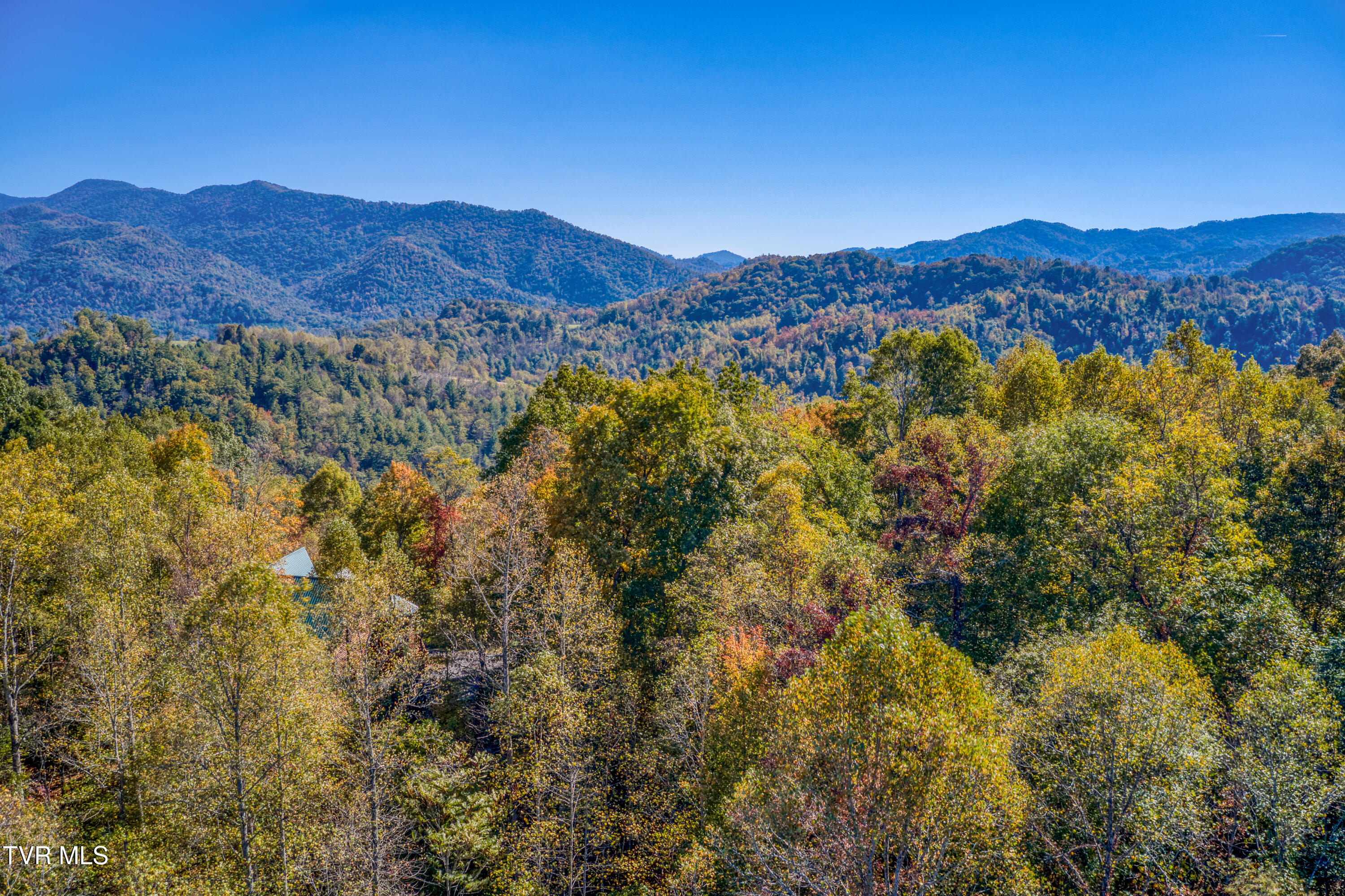 Tract2326 Gordon Ridge Road, Butler, Tennessee image 15