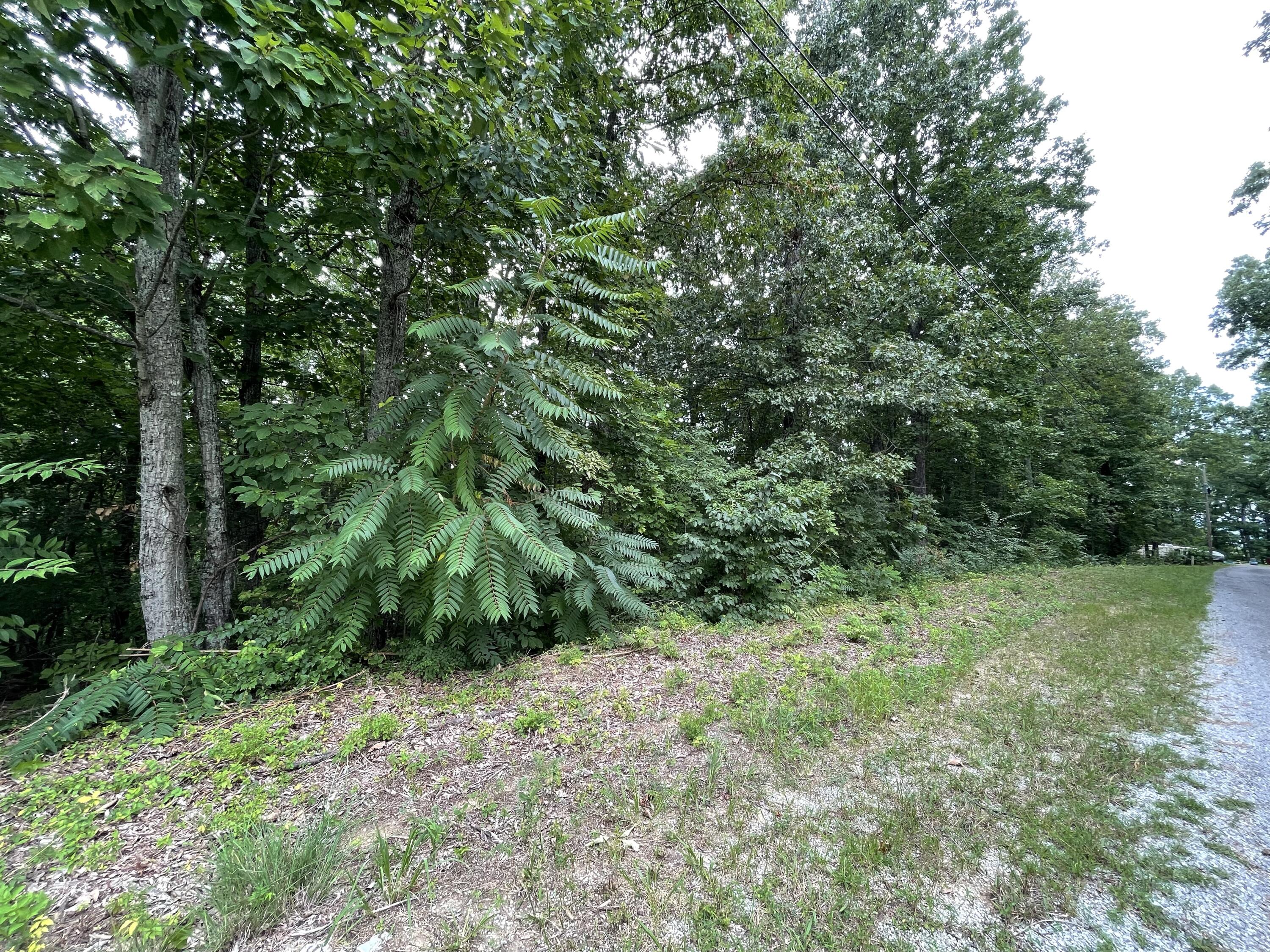 Lot 37 Pecan Tree Lane, Newport, Tennessee image 1
