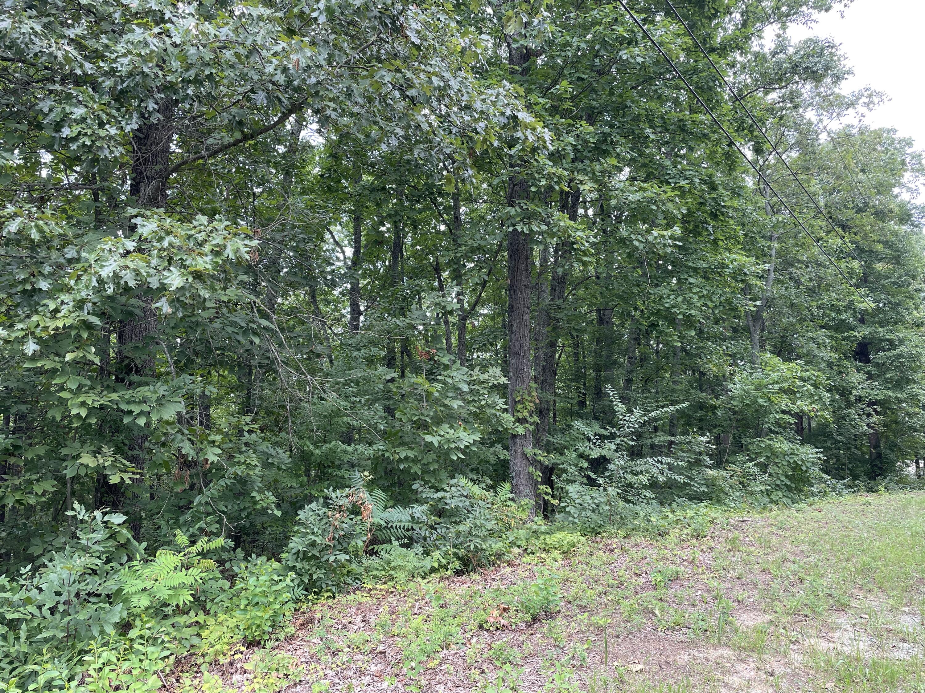 Lot 37 Pecan Tree Lane, Newport, Tennessee image 4
