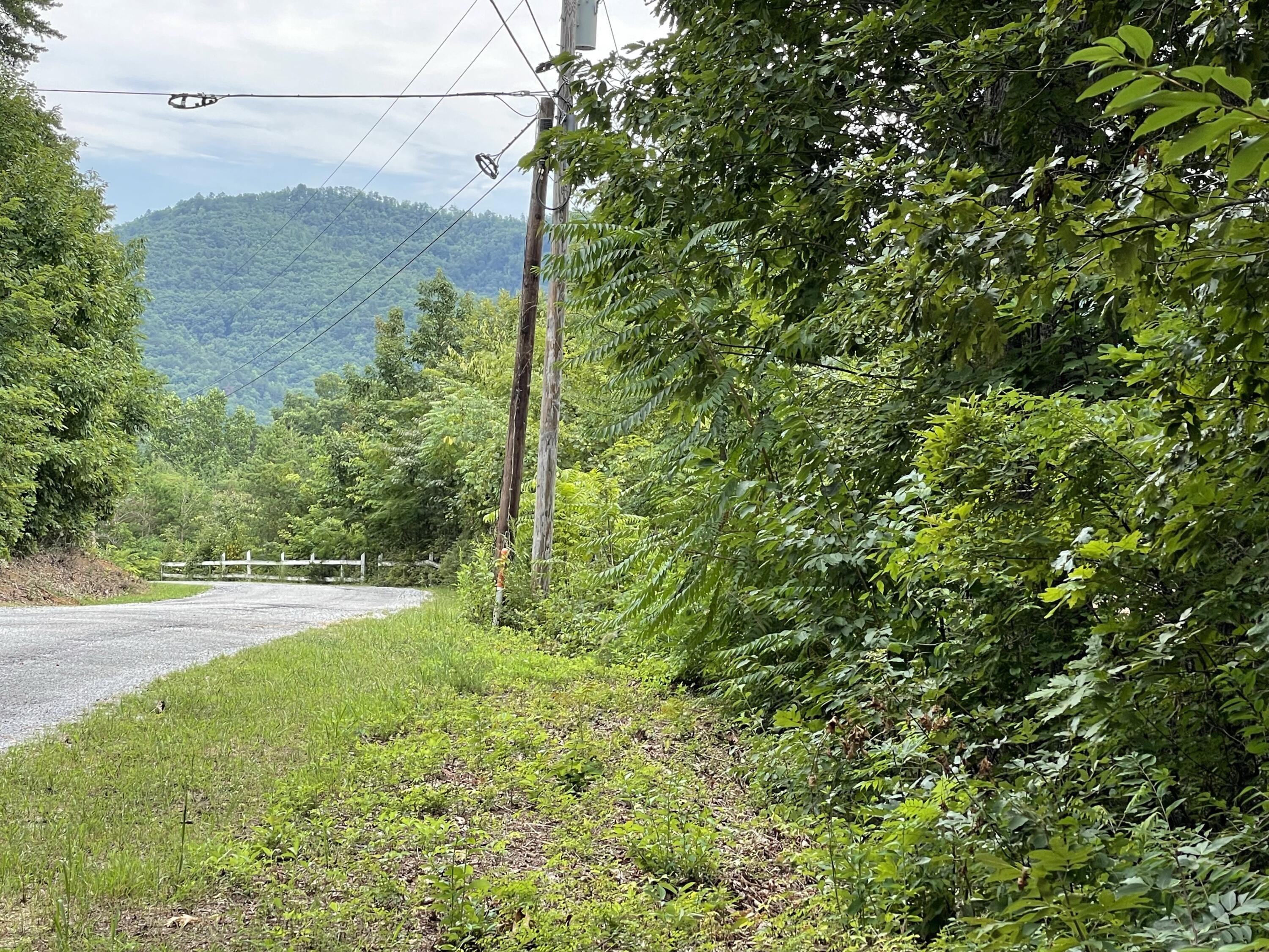 Lot 37 Pecan Tree Lane, Newport, Tennessee image 2
