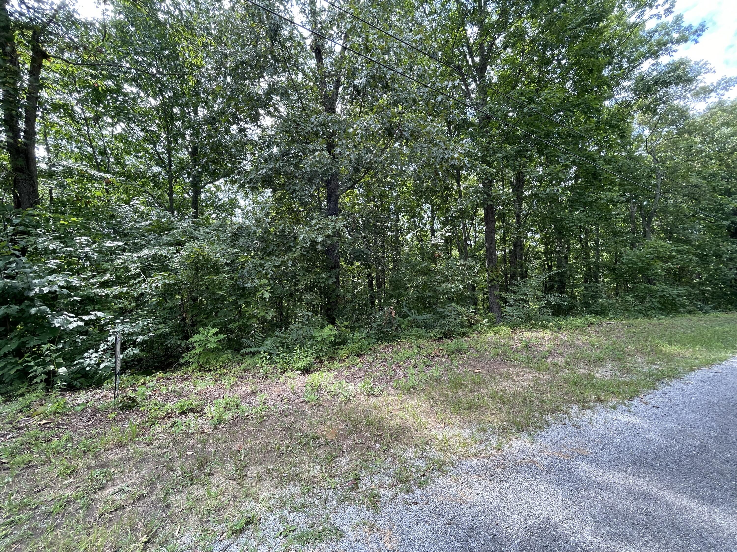 Lot 37 Pecan Tree Lane, Newport, Tennessee image 3