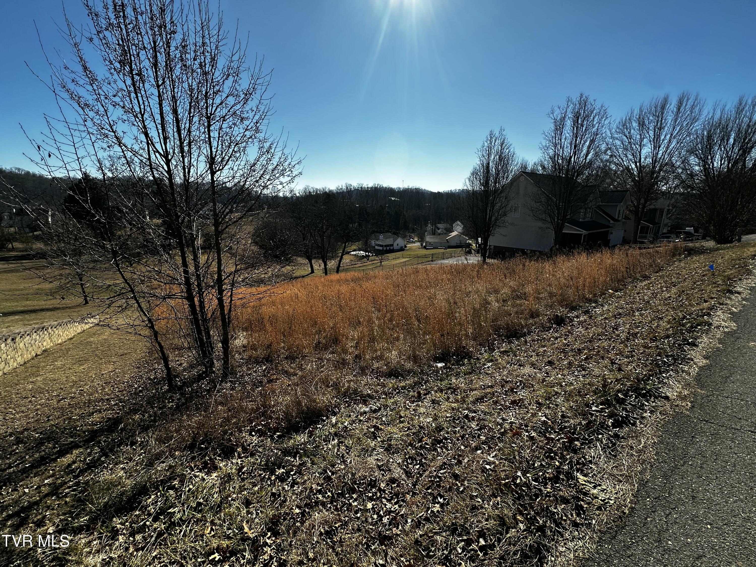 Tbd Clearwater Drive, Kingsport, Tennessee image 4