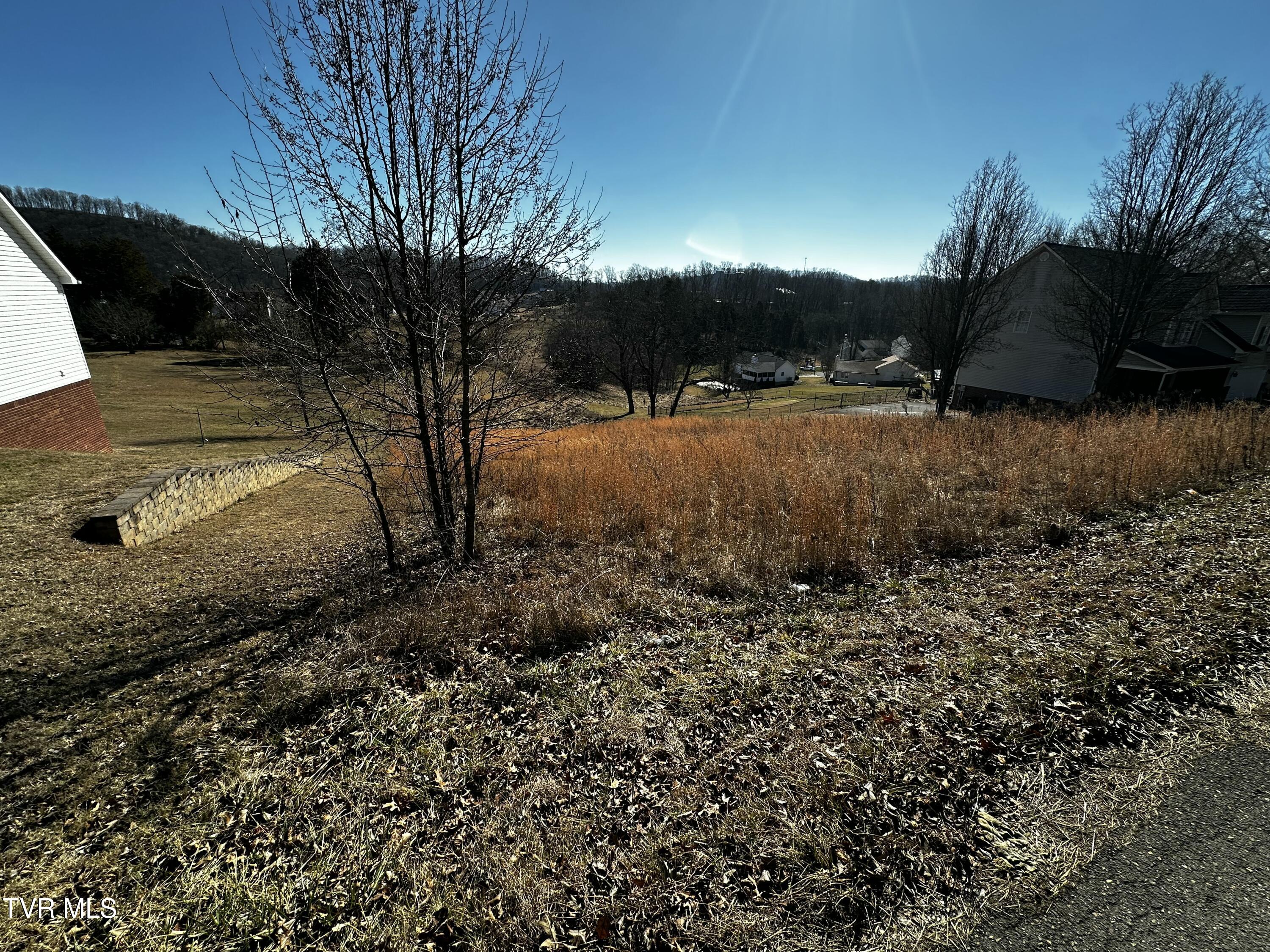 Tbd Clearwater Drive, Kingsport, Tennessee image 3