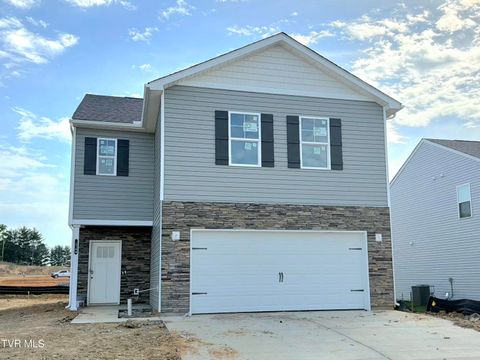 Homes For Sale - 54 Ollie Street St<br/> Washington County County, Johnson City, TN 37615