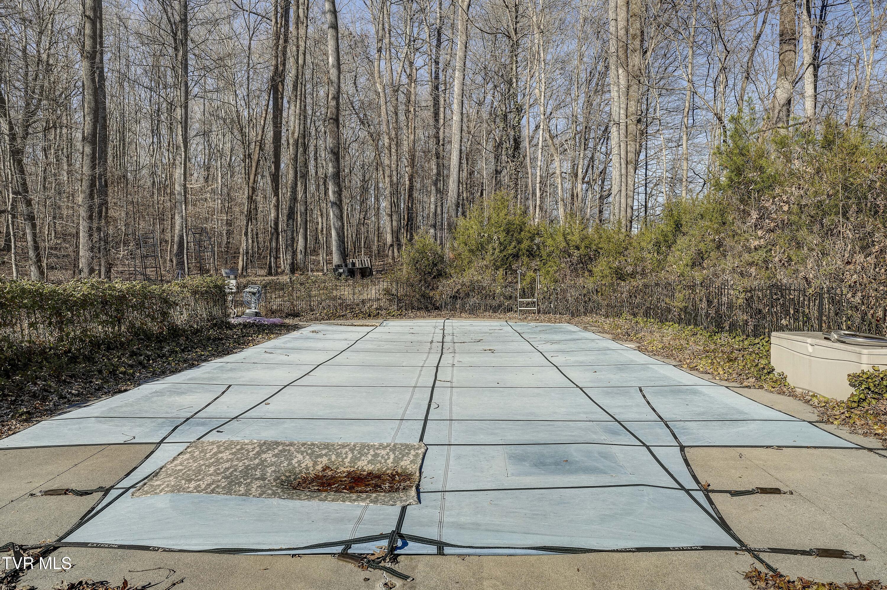 257 Logan Chapel Road, Fall Branch, Tennessee image 9