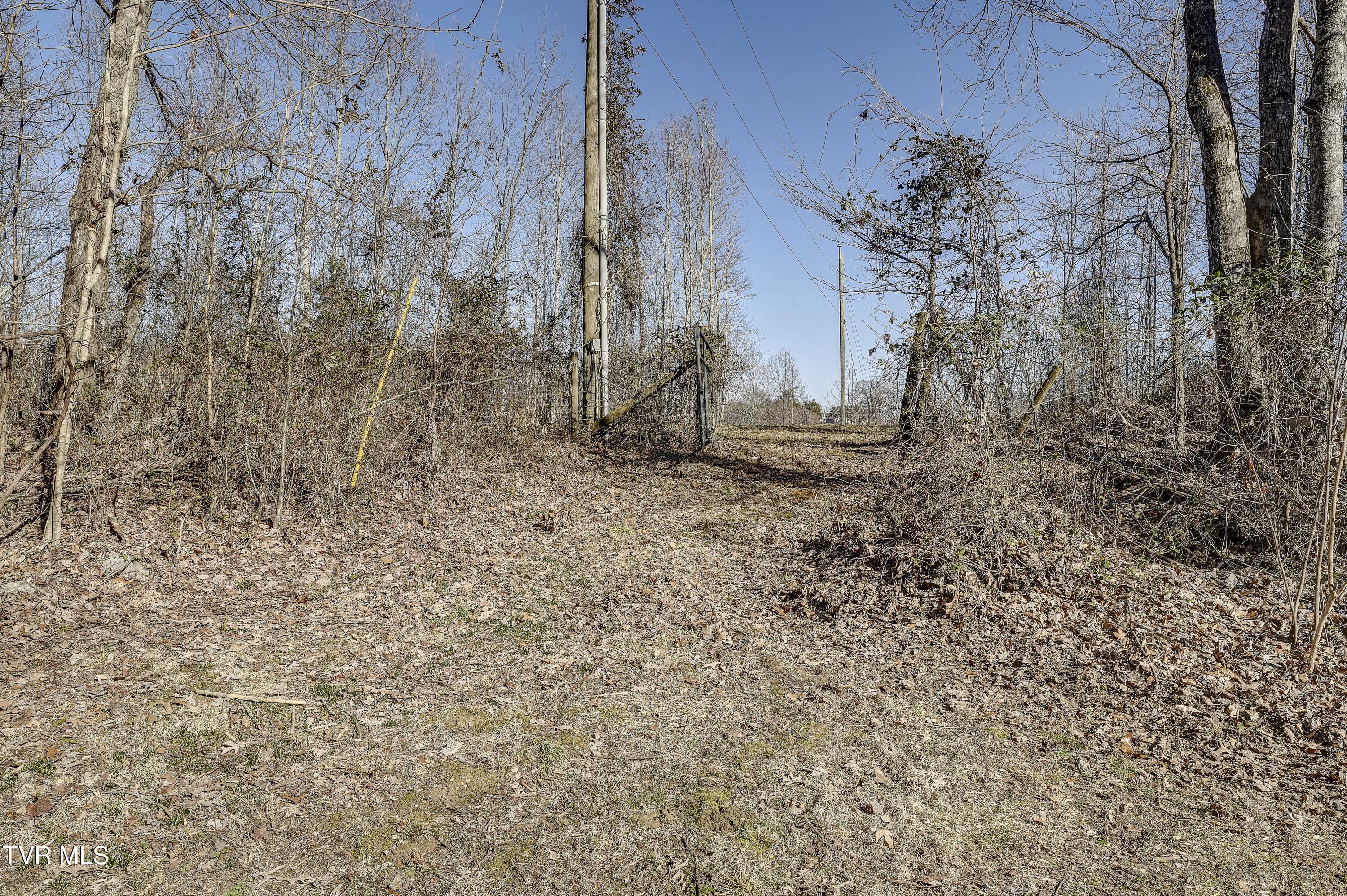 257 Logan Chapel Road, Fall Branch, Tennessee image 22