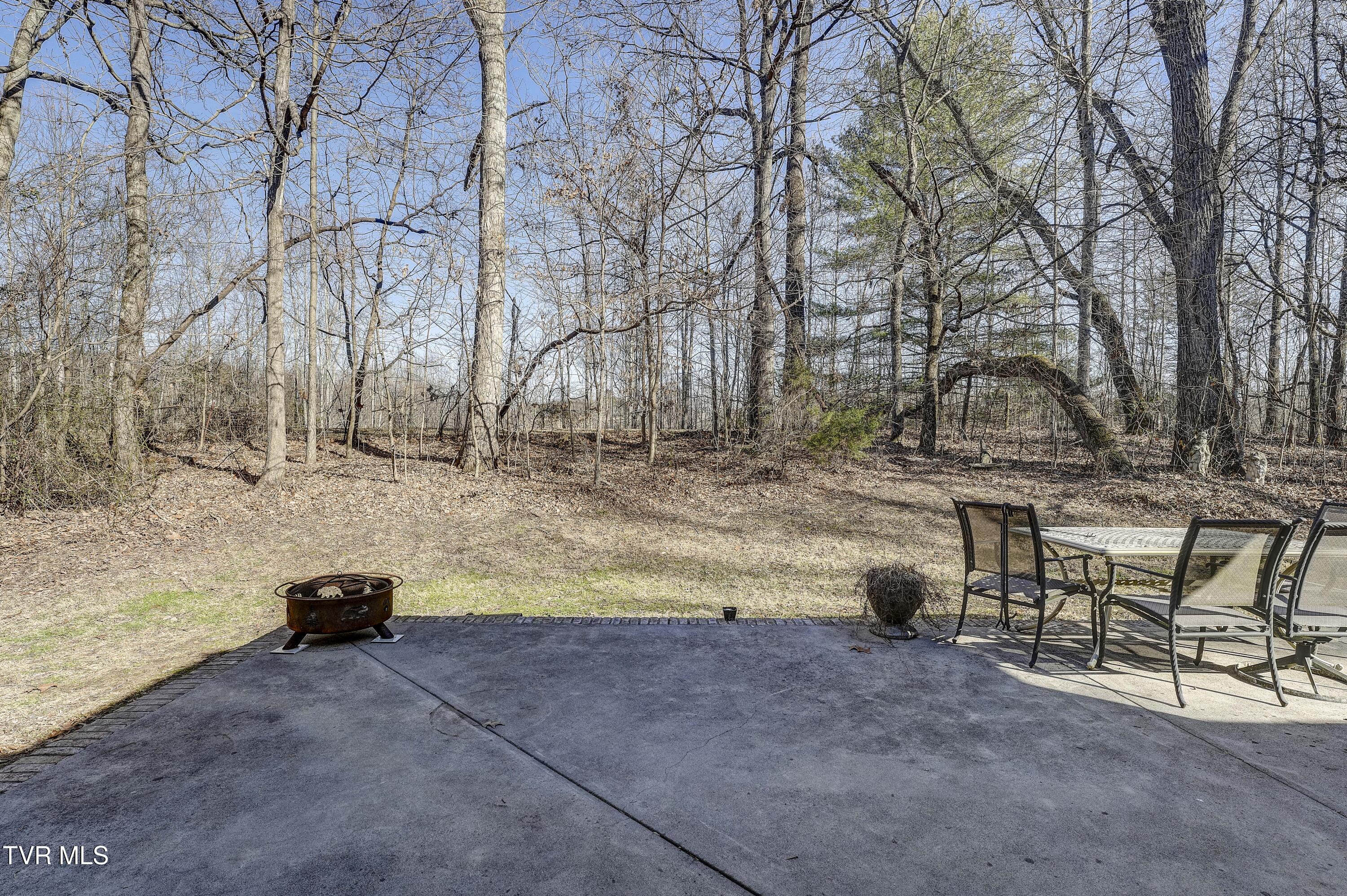 257 Logan Chapel Road, Fall Branch, Tennessee image 15