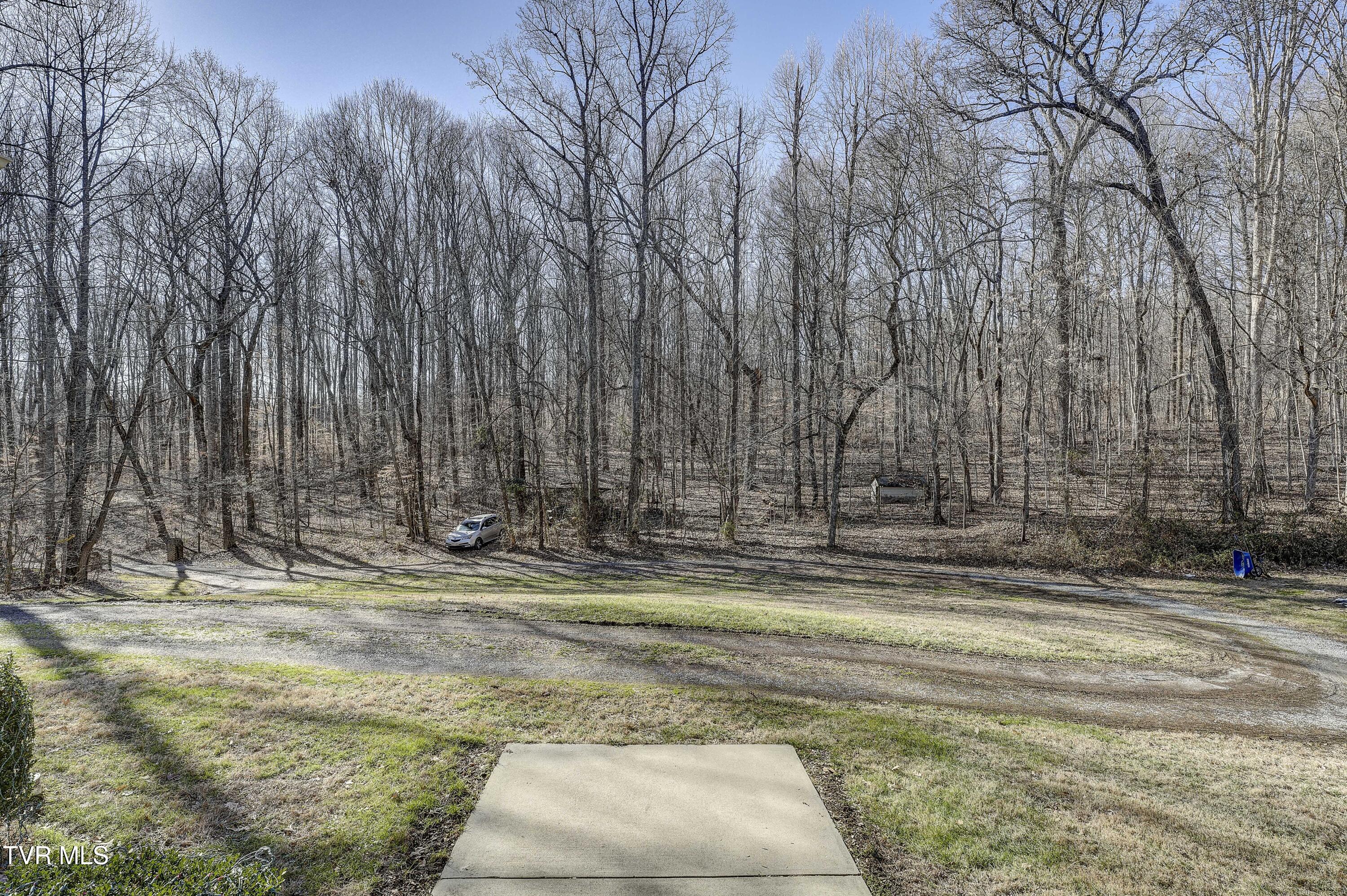257 Logan Chapel Road, Fall Branch, Tennessee image 6