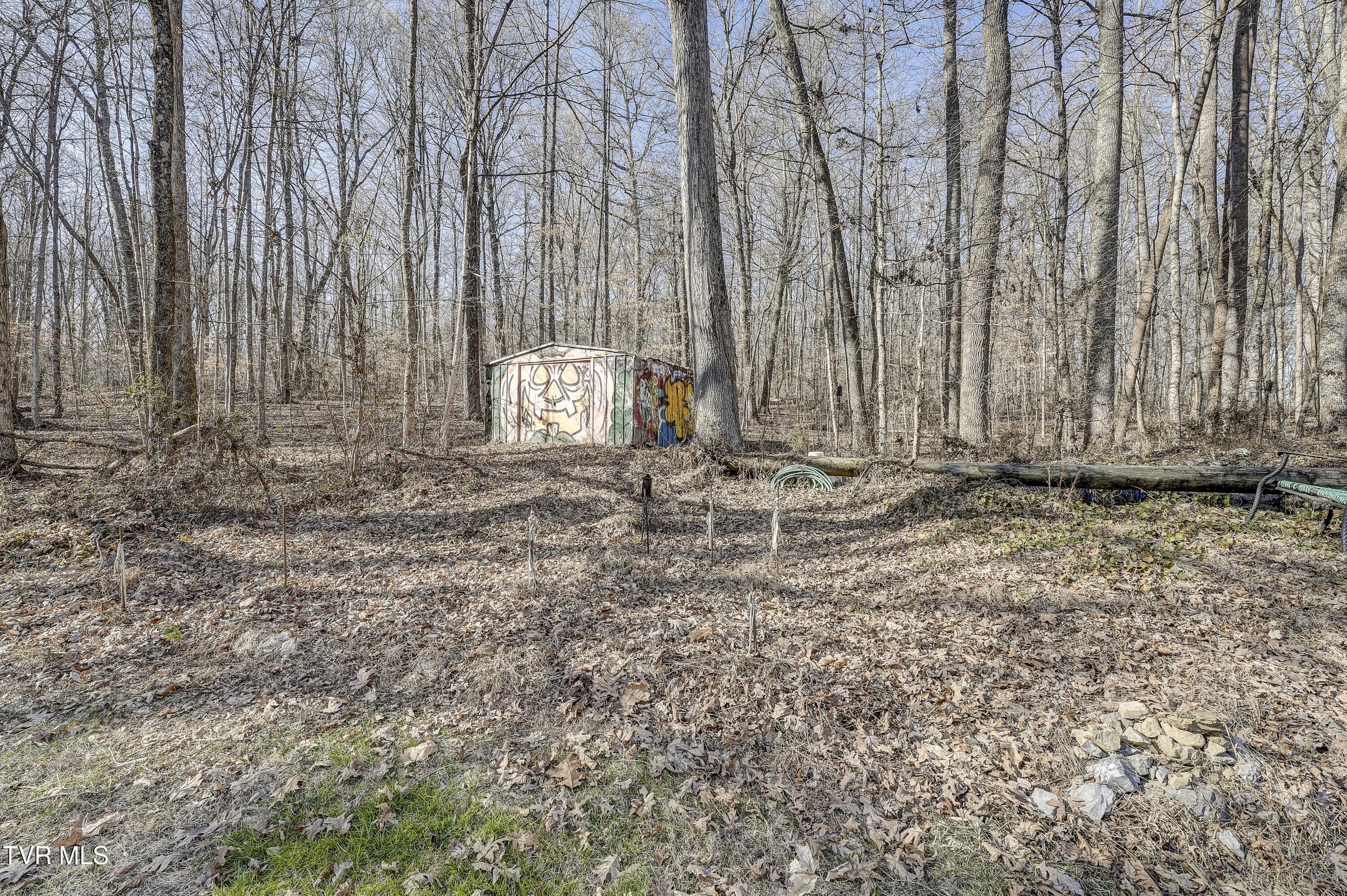 257 Logan Chapel Road, Fall Branch, Tennessee image 20