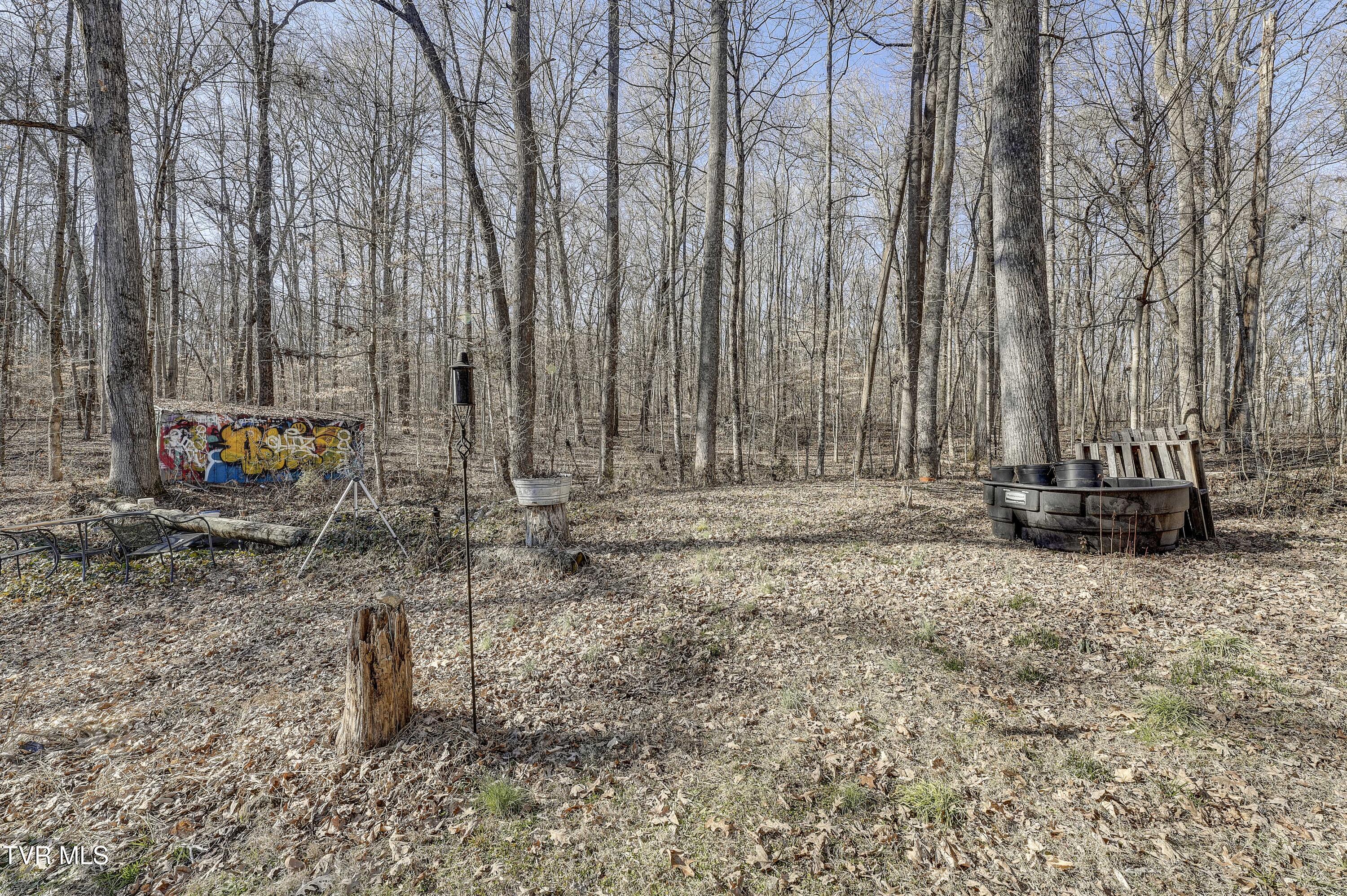 257 Logan Chapel Road, Fall Branch, Tennessee image 21