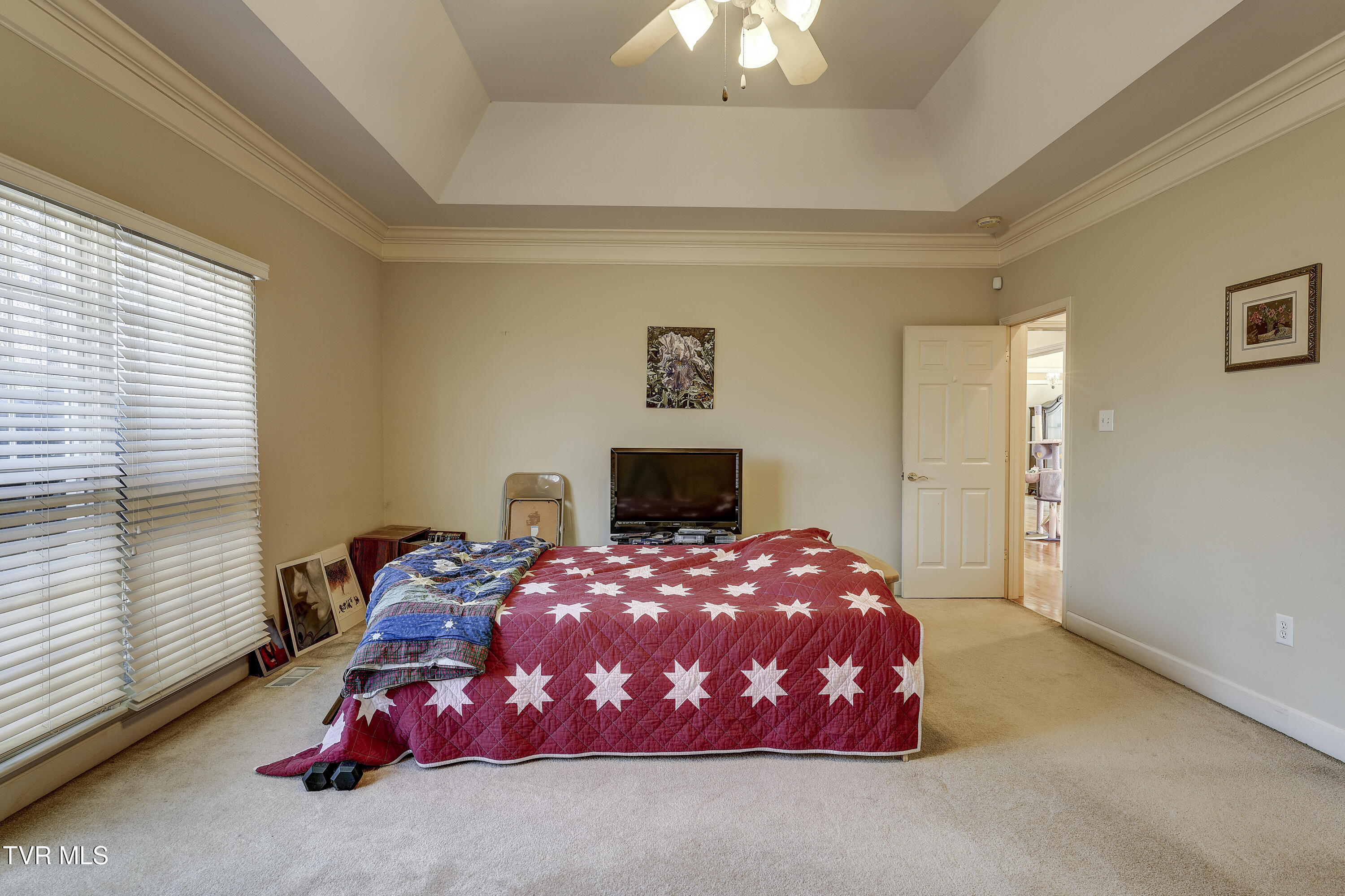 257 Logan Chapel Road, Fall Branch, Tennessee image 50