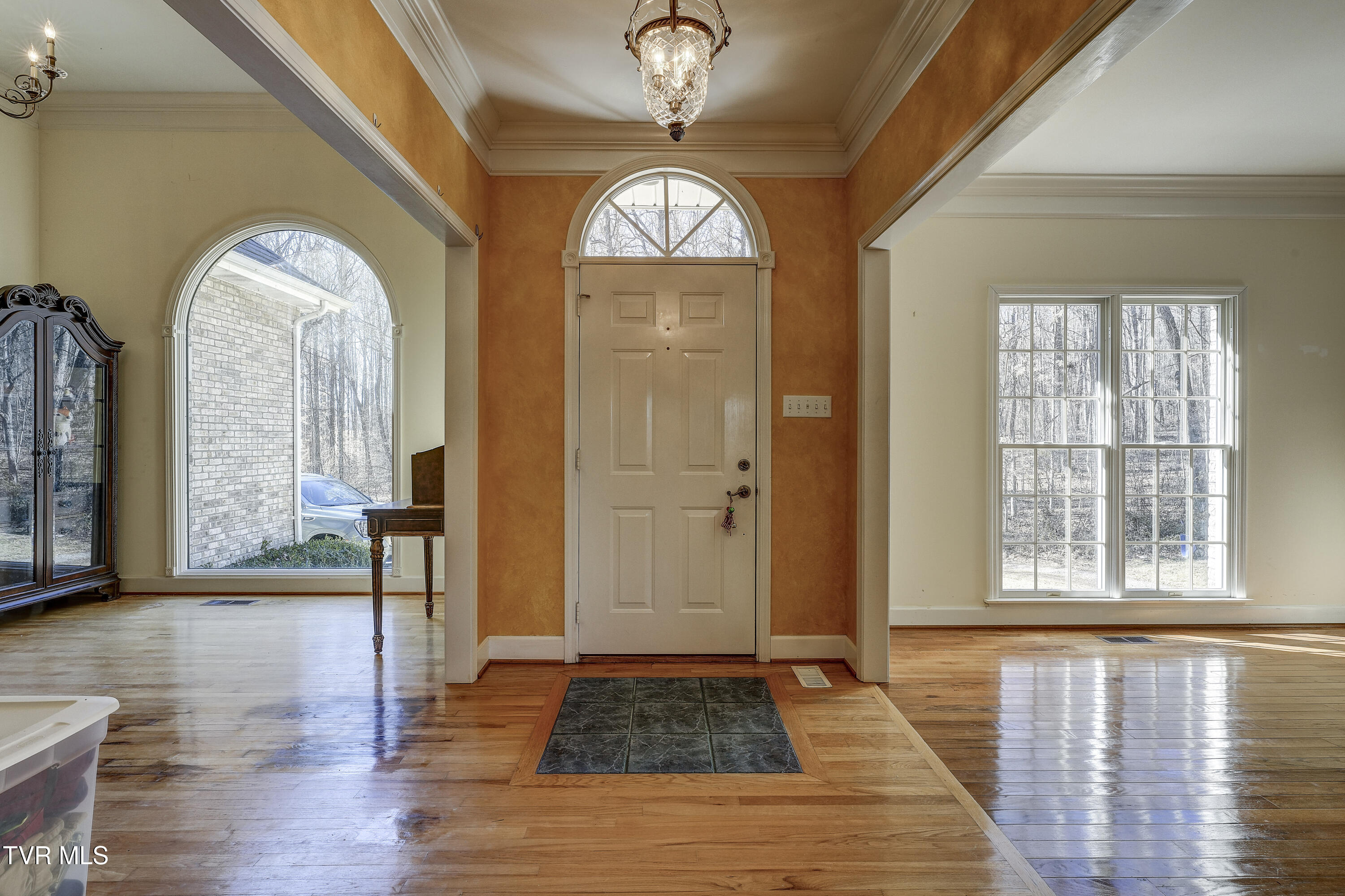 257 Logan Chapel Road, Fall Branch, Tennessee image 25