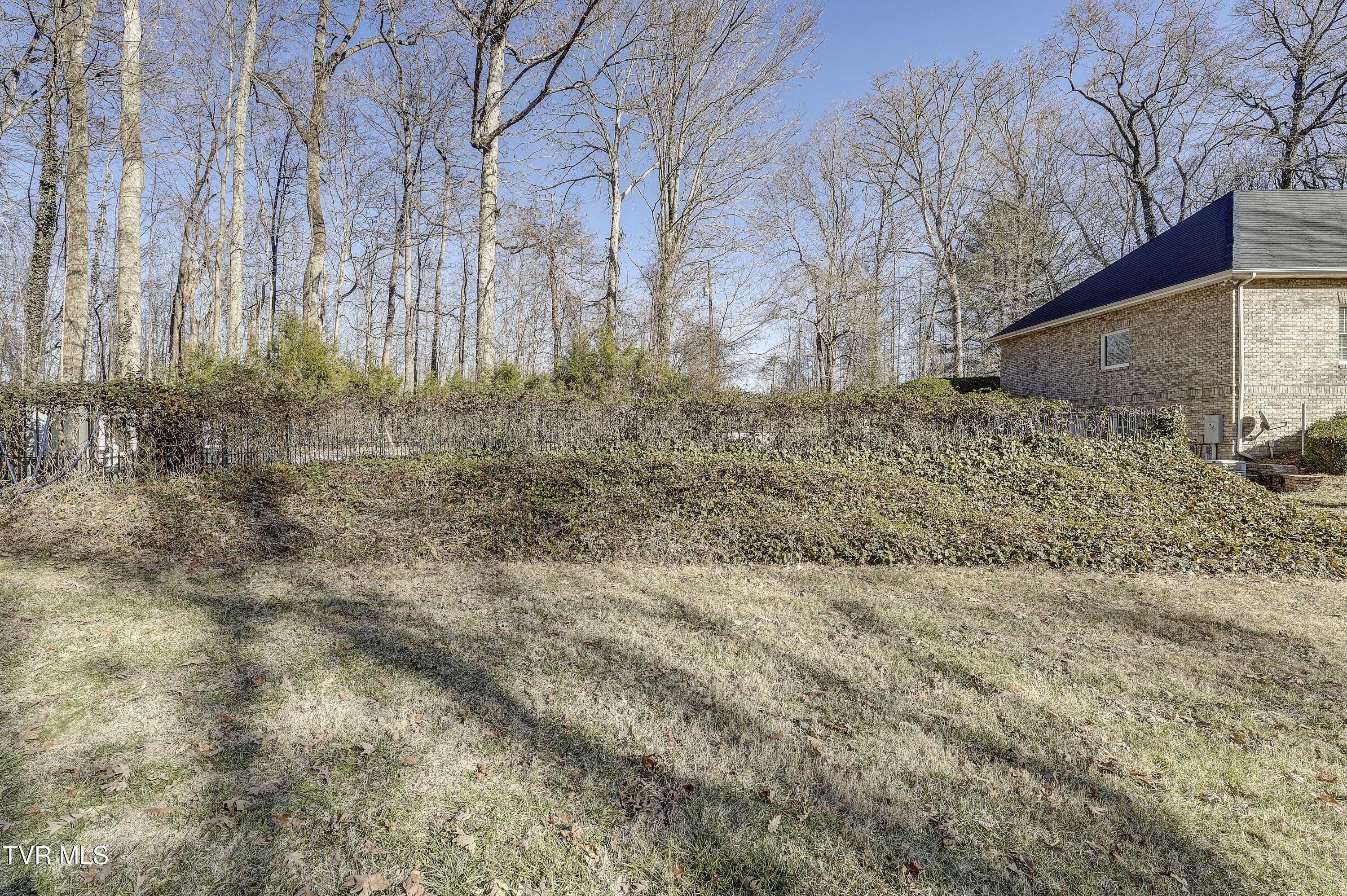 257 Logan Chapel Road, Fall Branch, Tennessee image 18