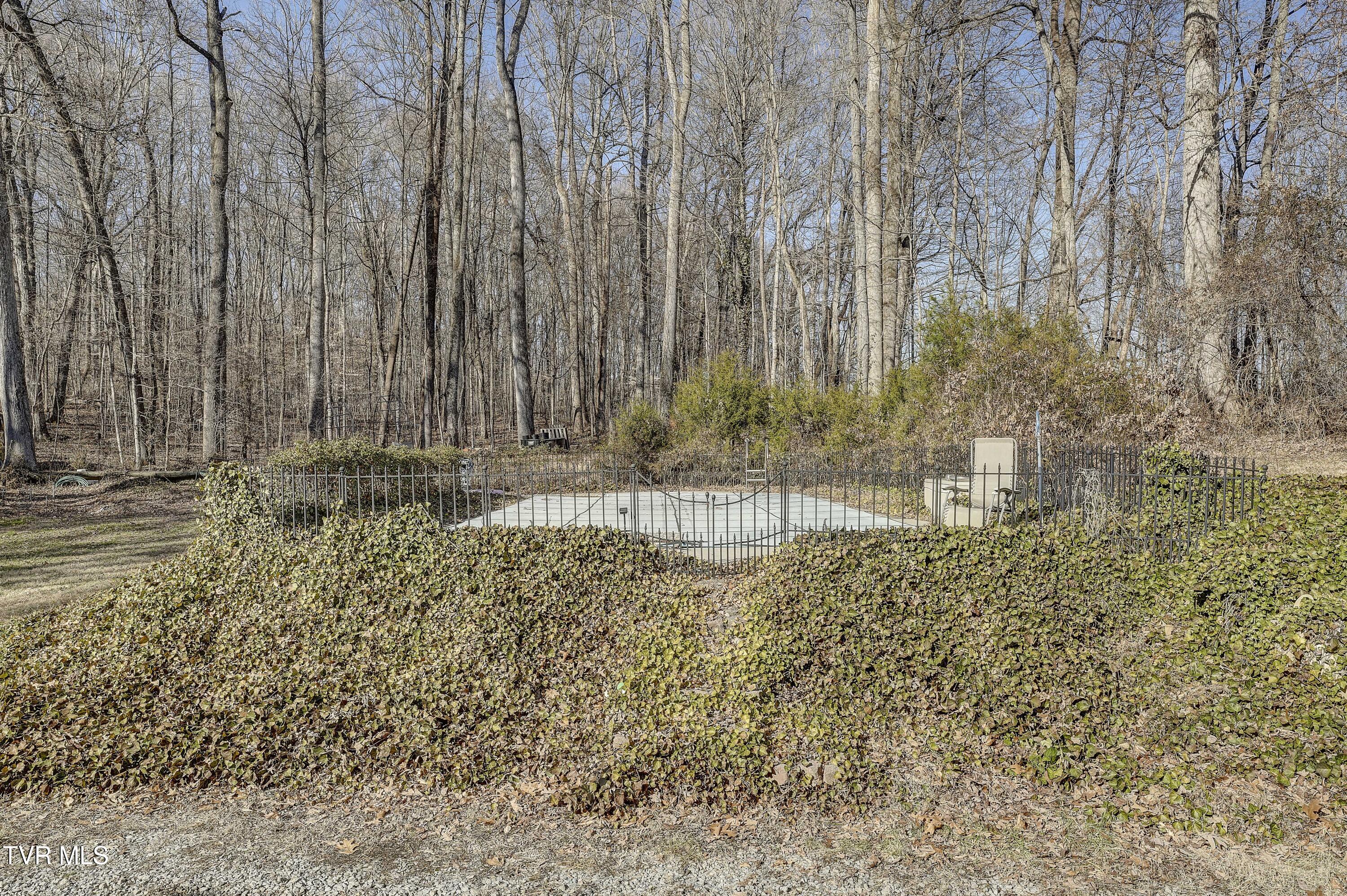 257 Logan Chapel Road, Fall Branch, Tennessee image 11