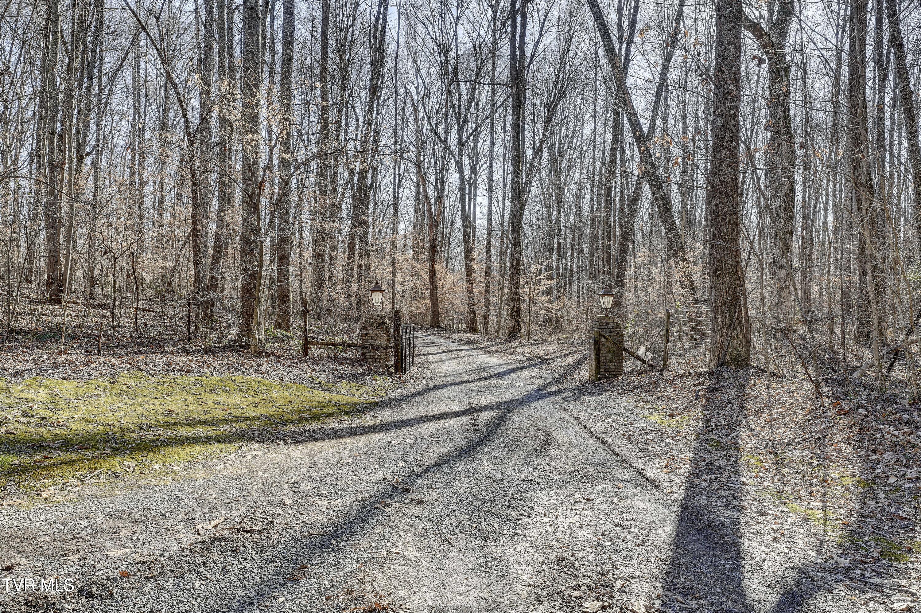 257 Logan Chapel Road, Fall Branch, Tennessee image 5