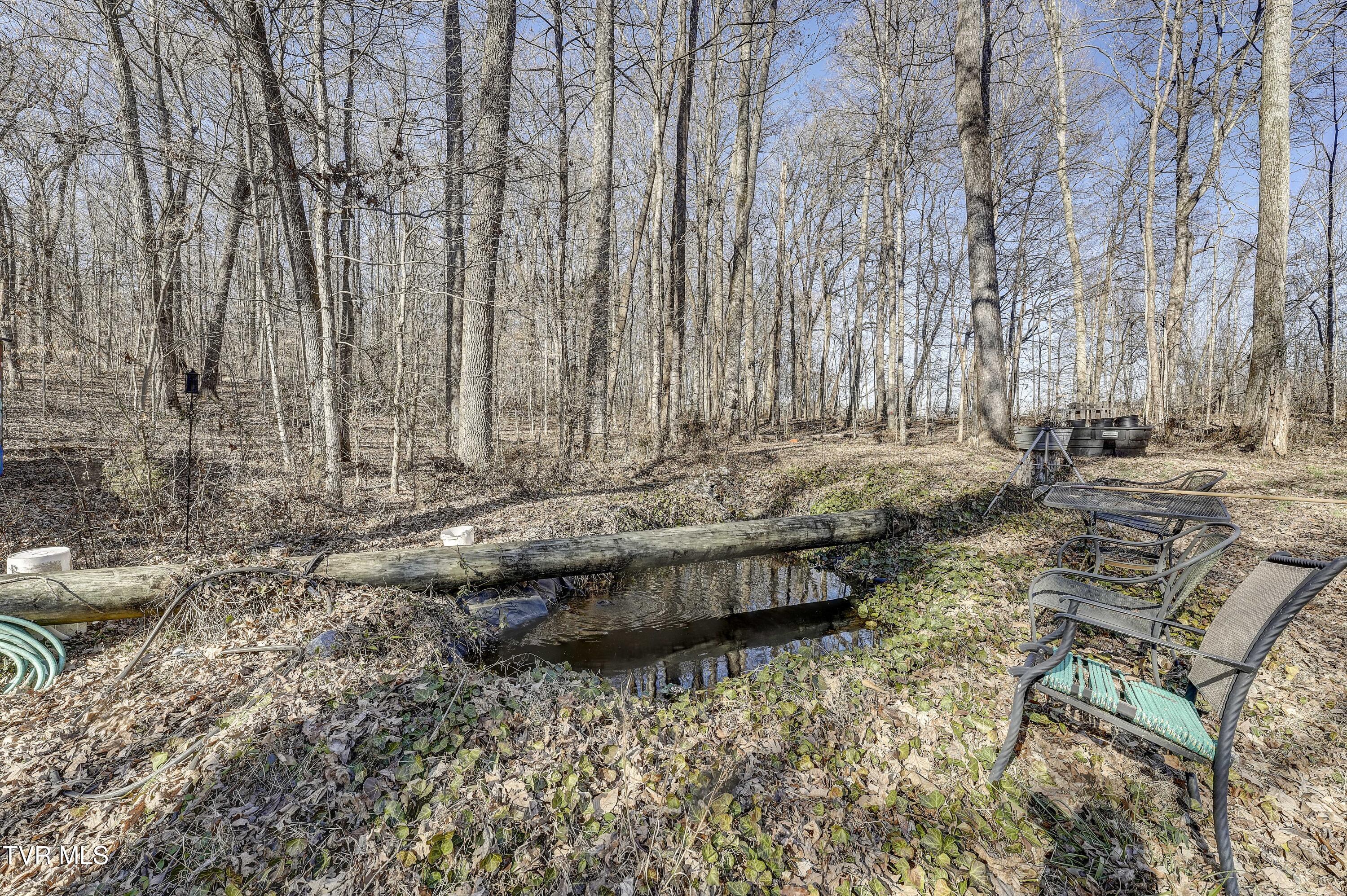 257 Logan Chapel Road, Fall Branch, Tennessee image 19