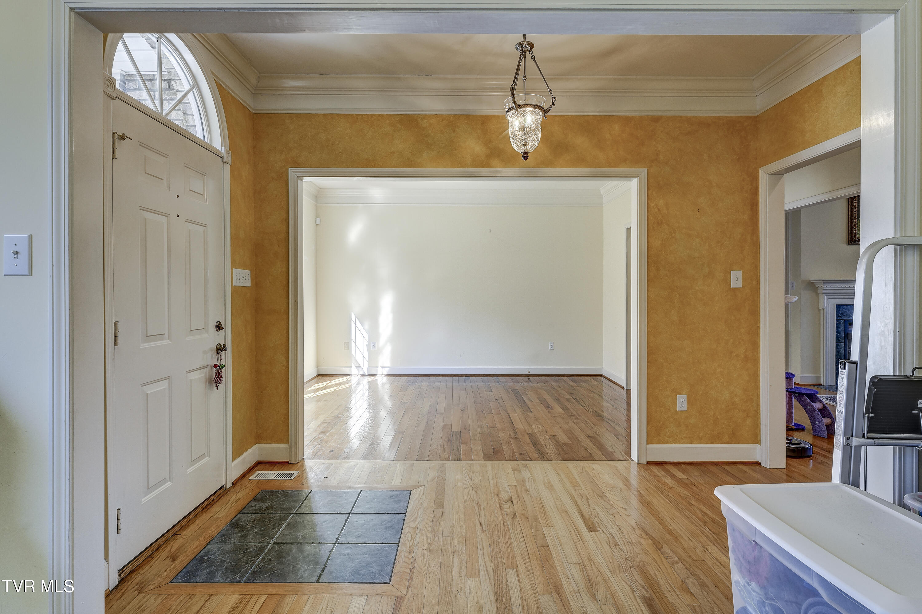 257 Logan Chapel Road, Fall Branch, Tennessee image 29