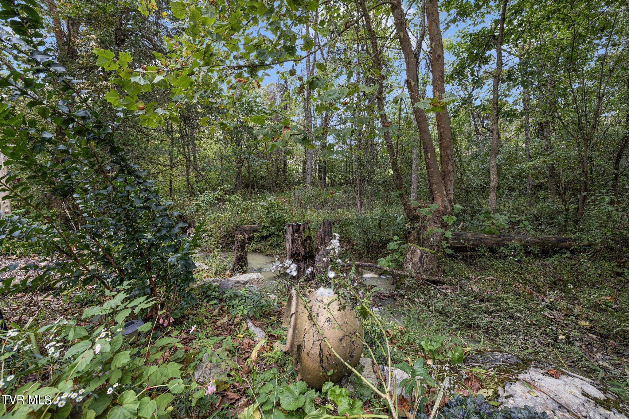 605 Redstone Dr Dr #24, Bristol, Tennessee image 34