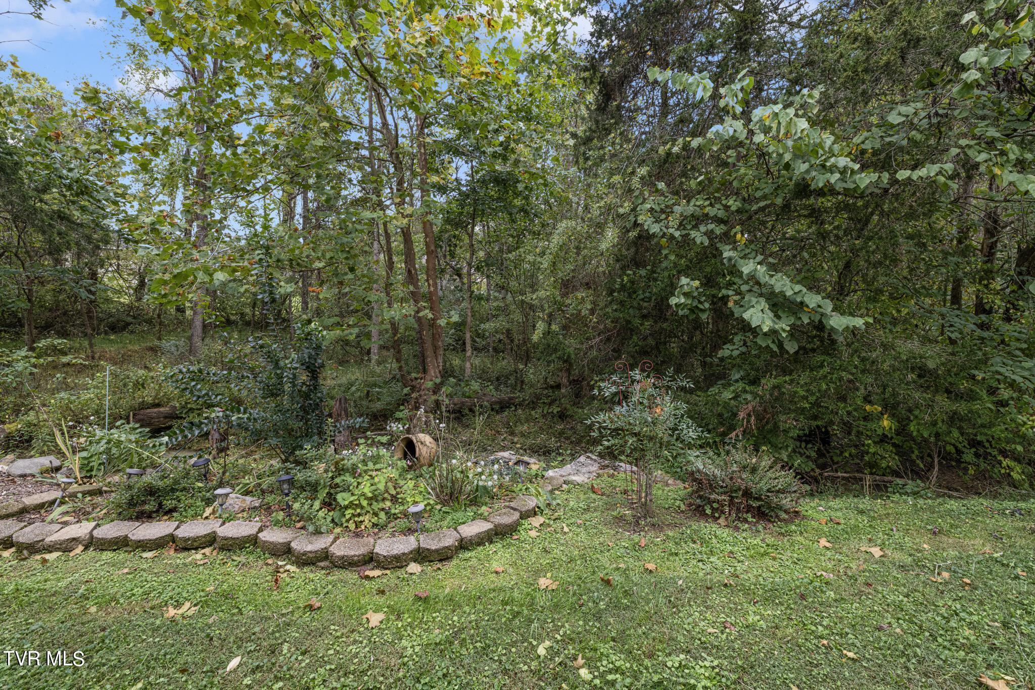 605 Redstone Dr Dr #24, Bristol, Tennessee image 33