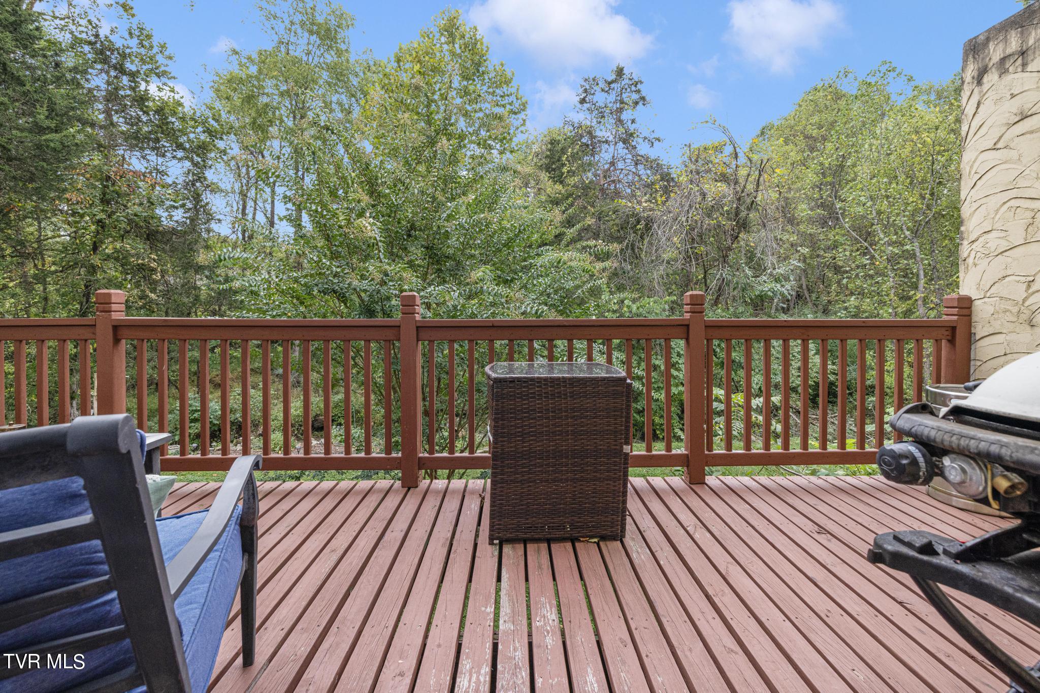 605 Redstone Dr Dr #24, Bristol, Tennessee image 37