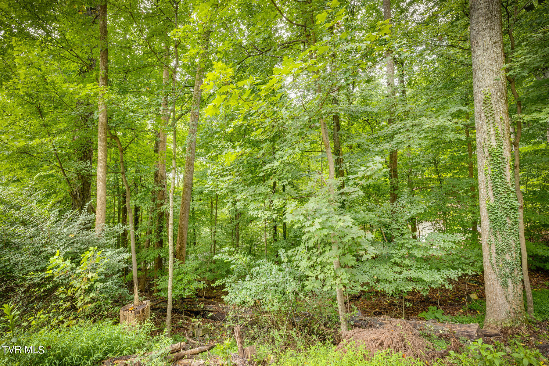 4528 Glenbrook Drive, Kingsport, Tennessee image 1