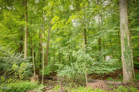 Vacant Land For Sale - 4528 Glenbrook Drive<br/> Kingsport, TN 37664