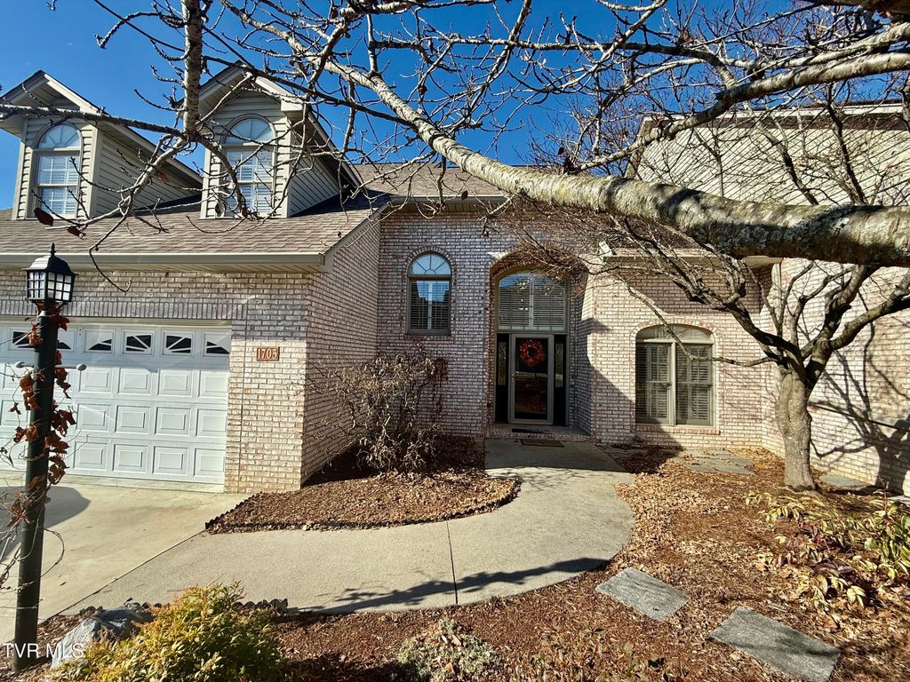 Photo of 1705 Birchfield Pvt Ct Court #1705, Kingsport, TN 37660 (MLS # 9989489)