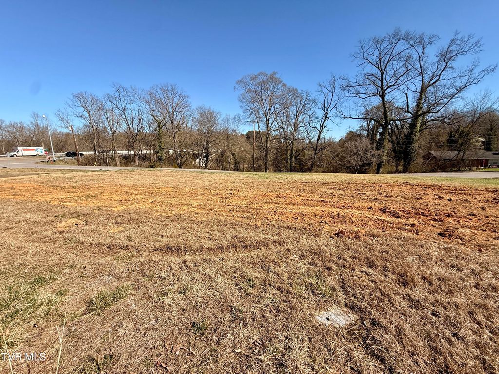 Photo of 101 Tall Oaks Court, Kingsport, TN 37663 (MLS # 9992131)