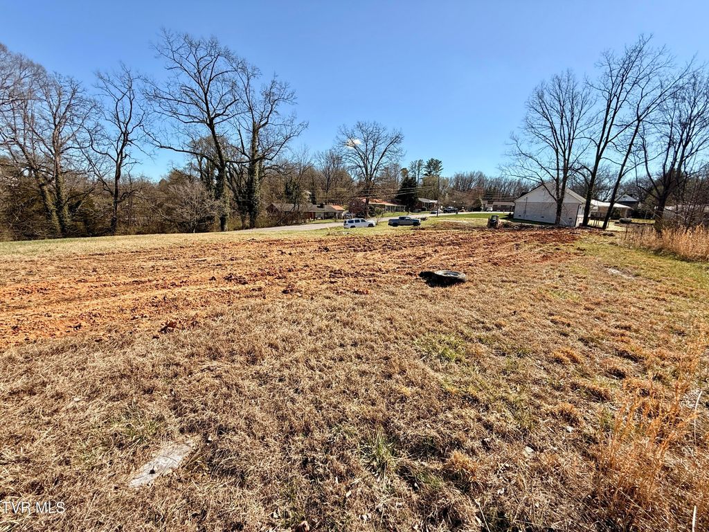 Photo of 101 Tall Oaks Court, Kingsport, TN 37663 (MLS # 9992131)