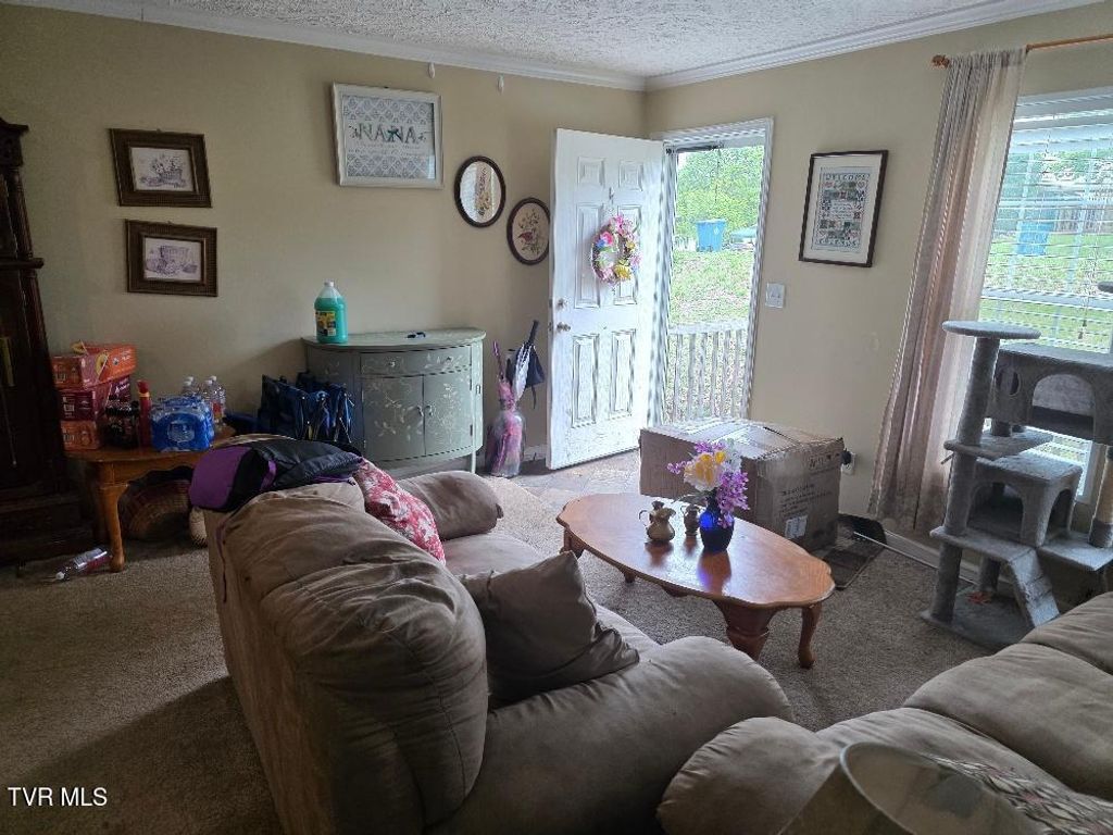 Photo of 311 Lakeview Circle, Bluff City, TN 37618 (MLS # 9994855)