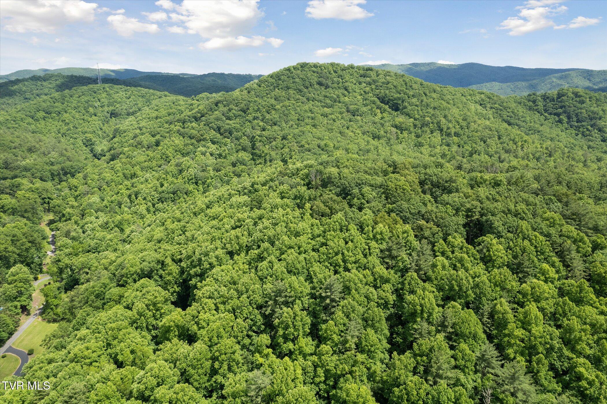 Tbd Rich Hollow Road, Erwin, Tennessee image 40