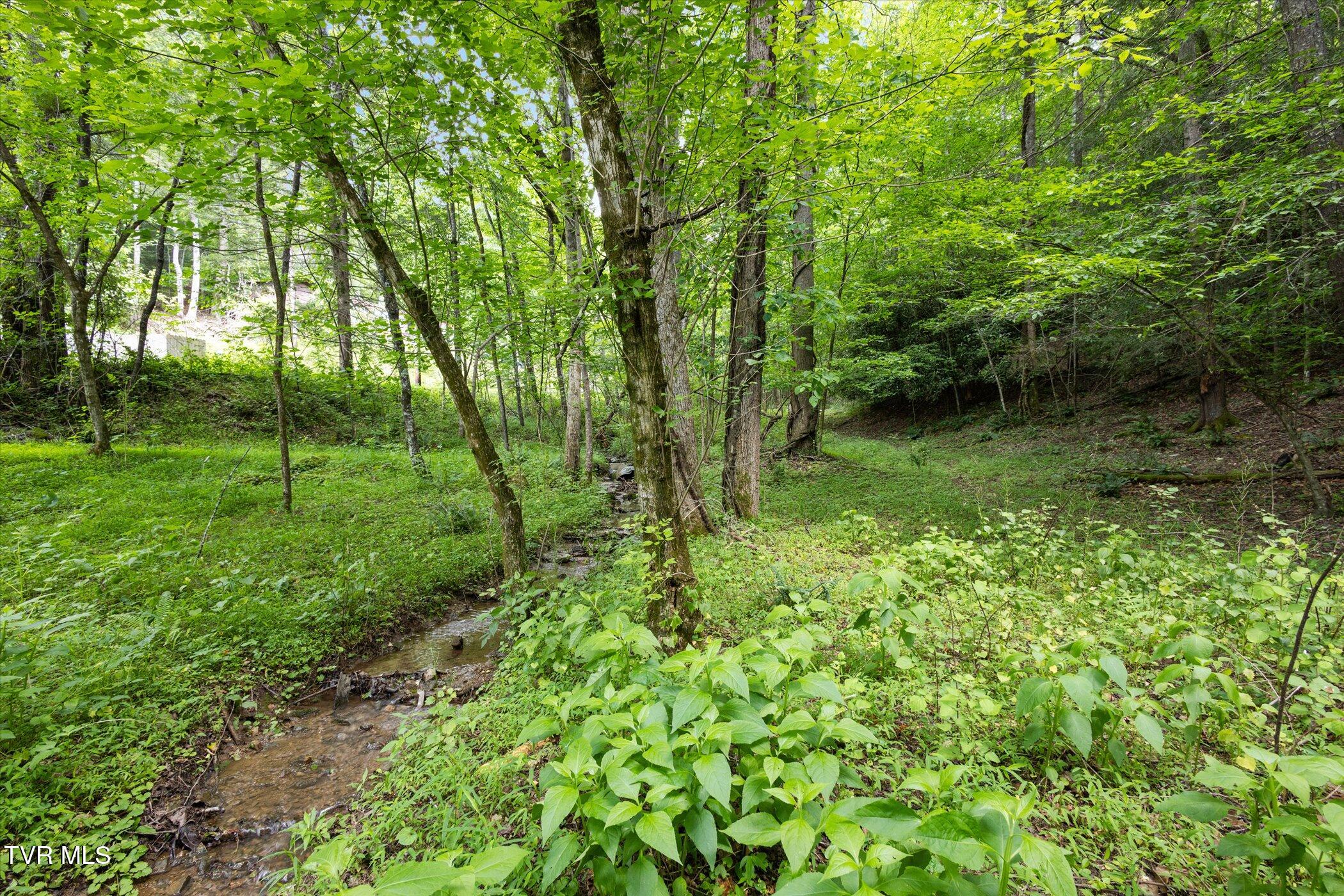 Tbd Rich Hollow Road, Erwin, Tennessee image 7